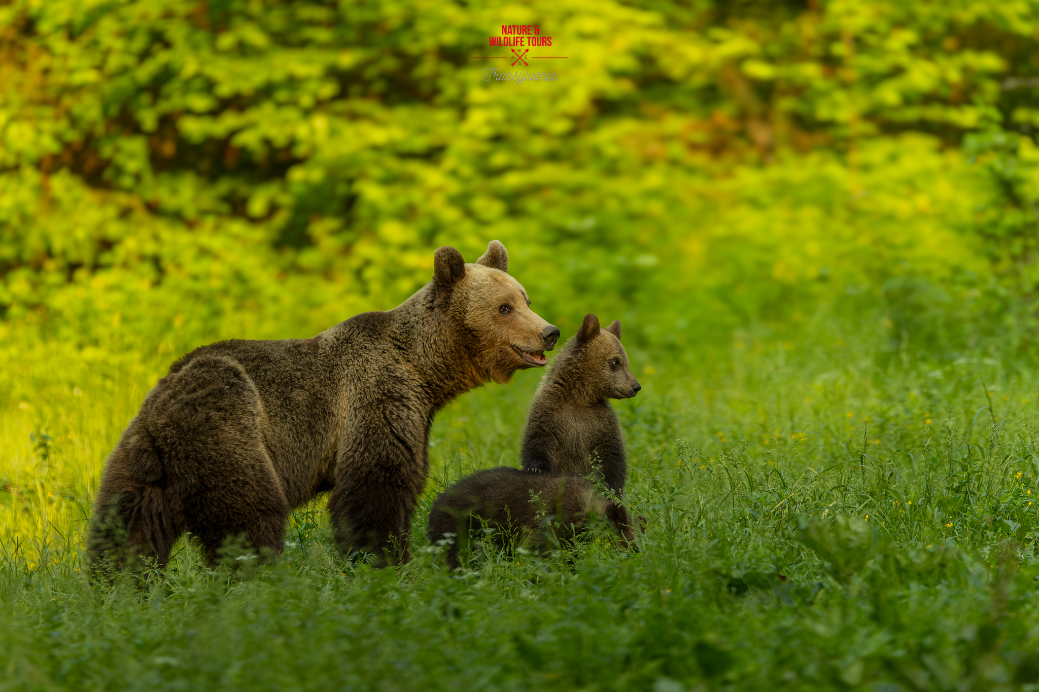 Pay attenition bro! They are taking pictures about us!