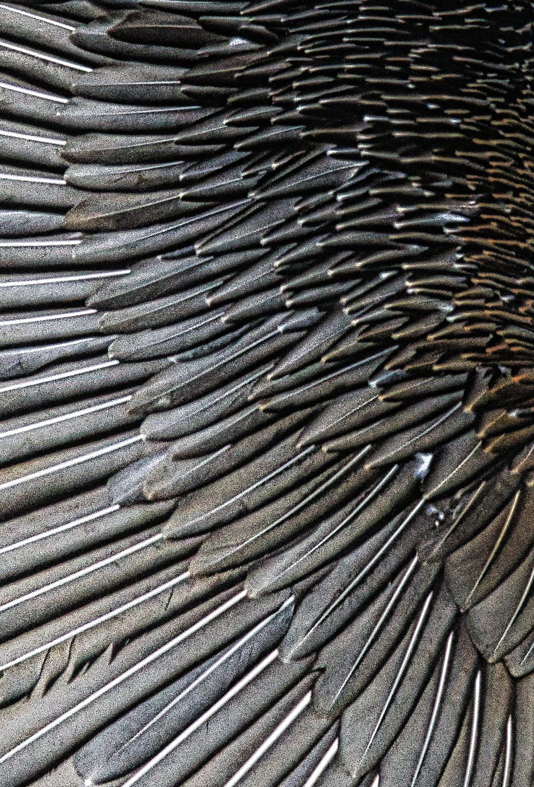 La bellezza nei particolari