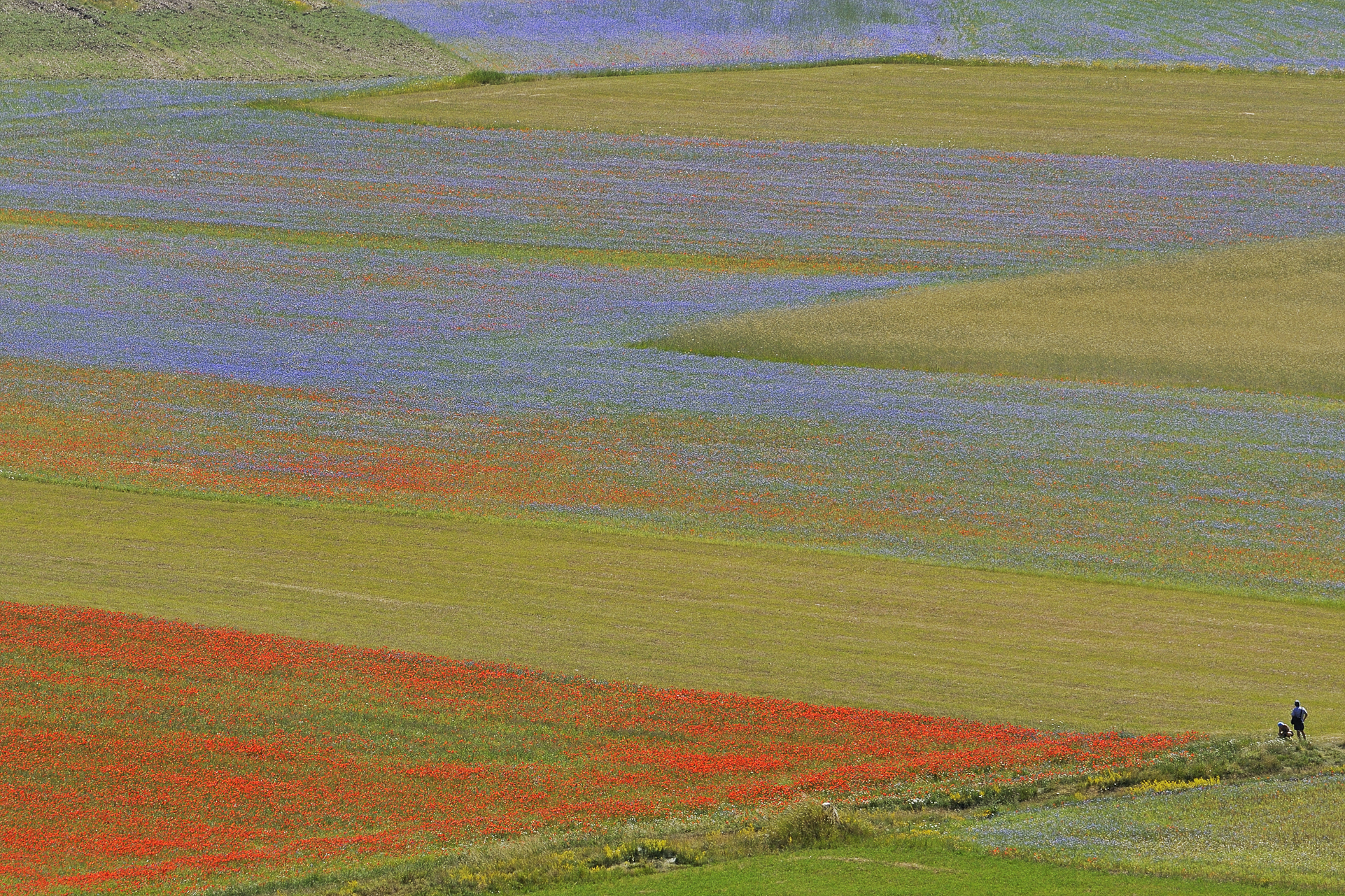Castelluccio