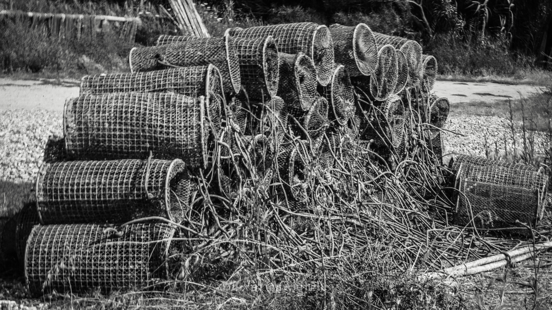 Networks of the old fish pond