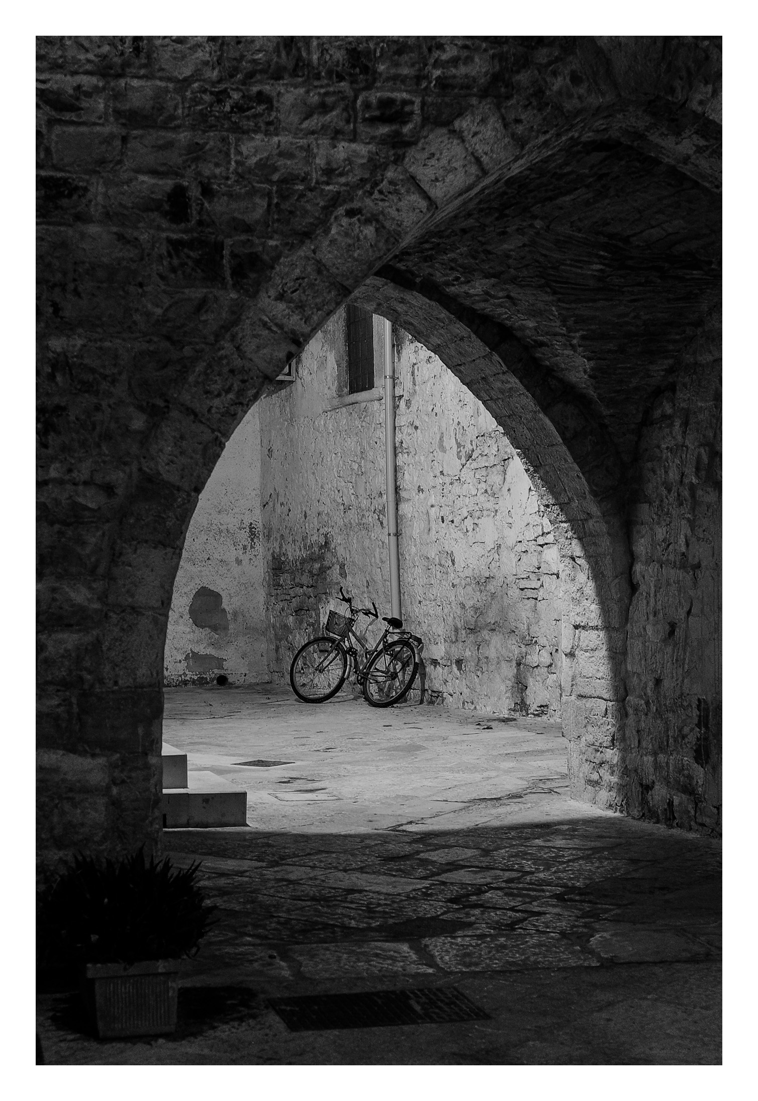 Untitled Photo