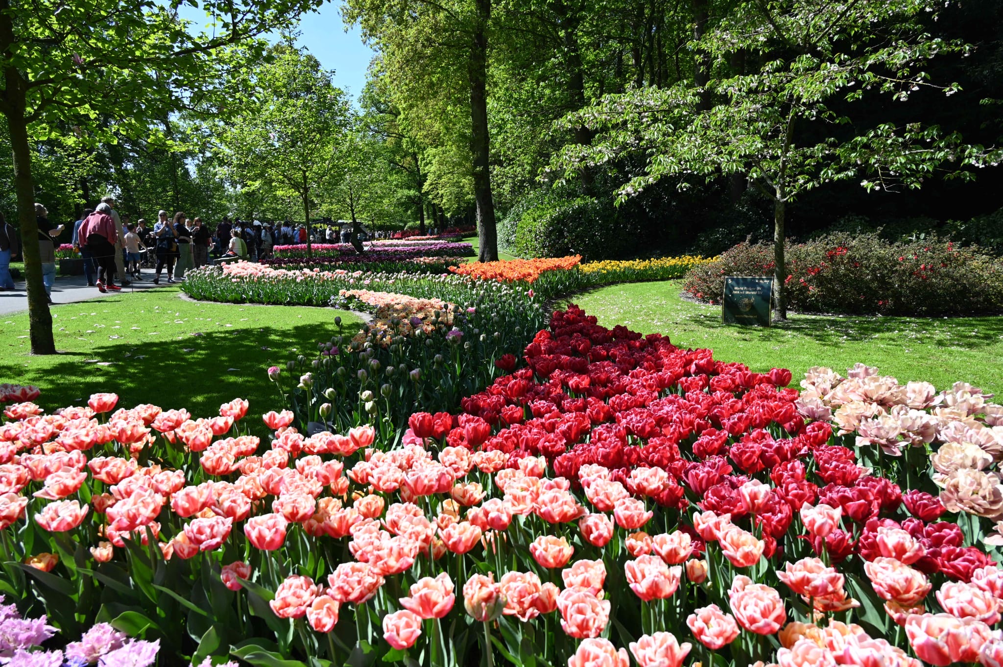 Keukenhof Park