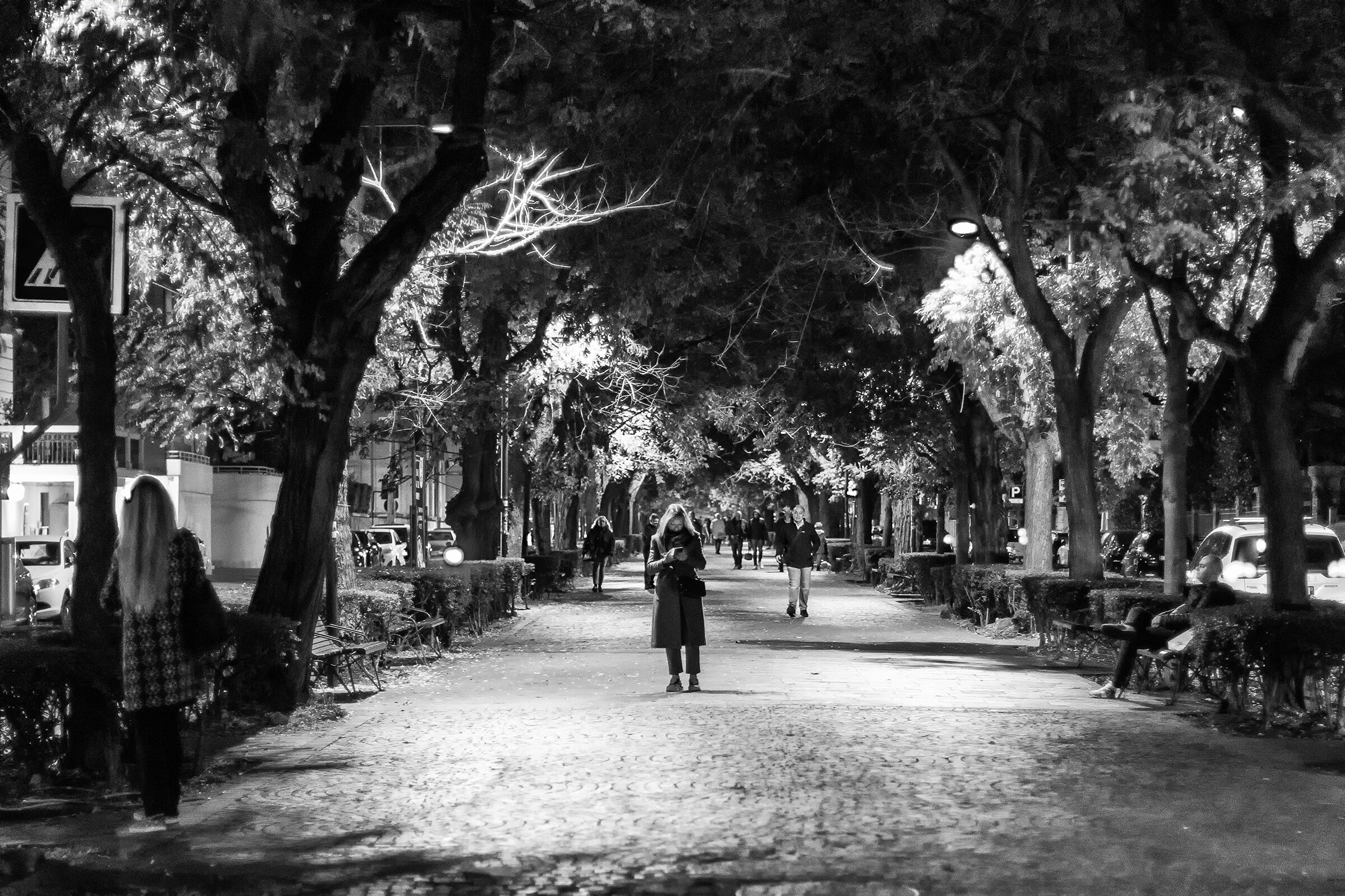 In the evening along the avenue