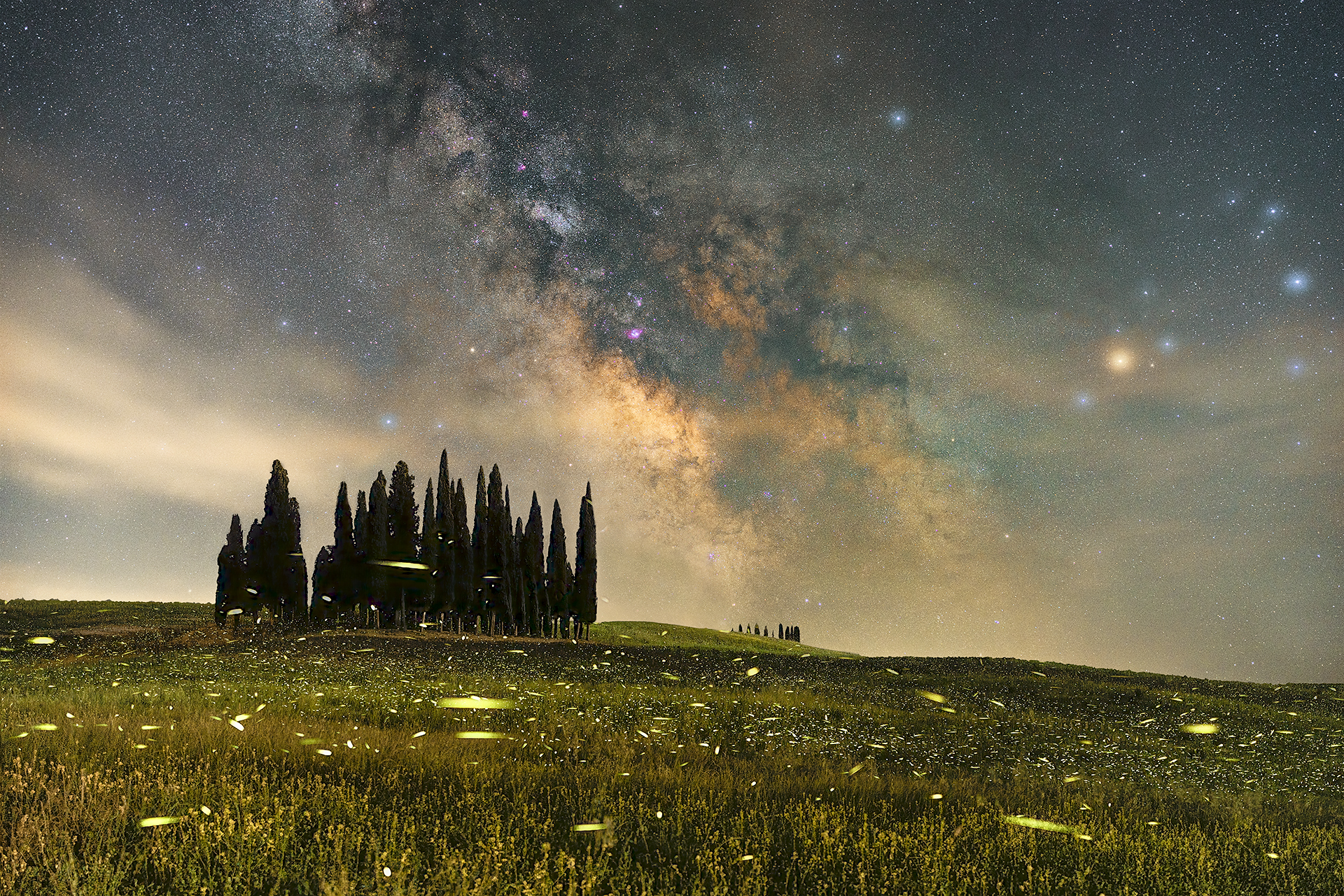 Lampyrids rave party