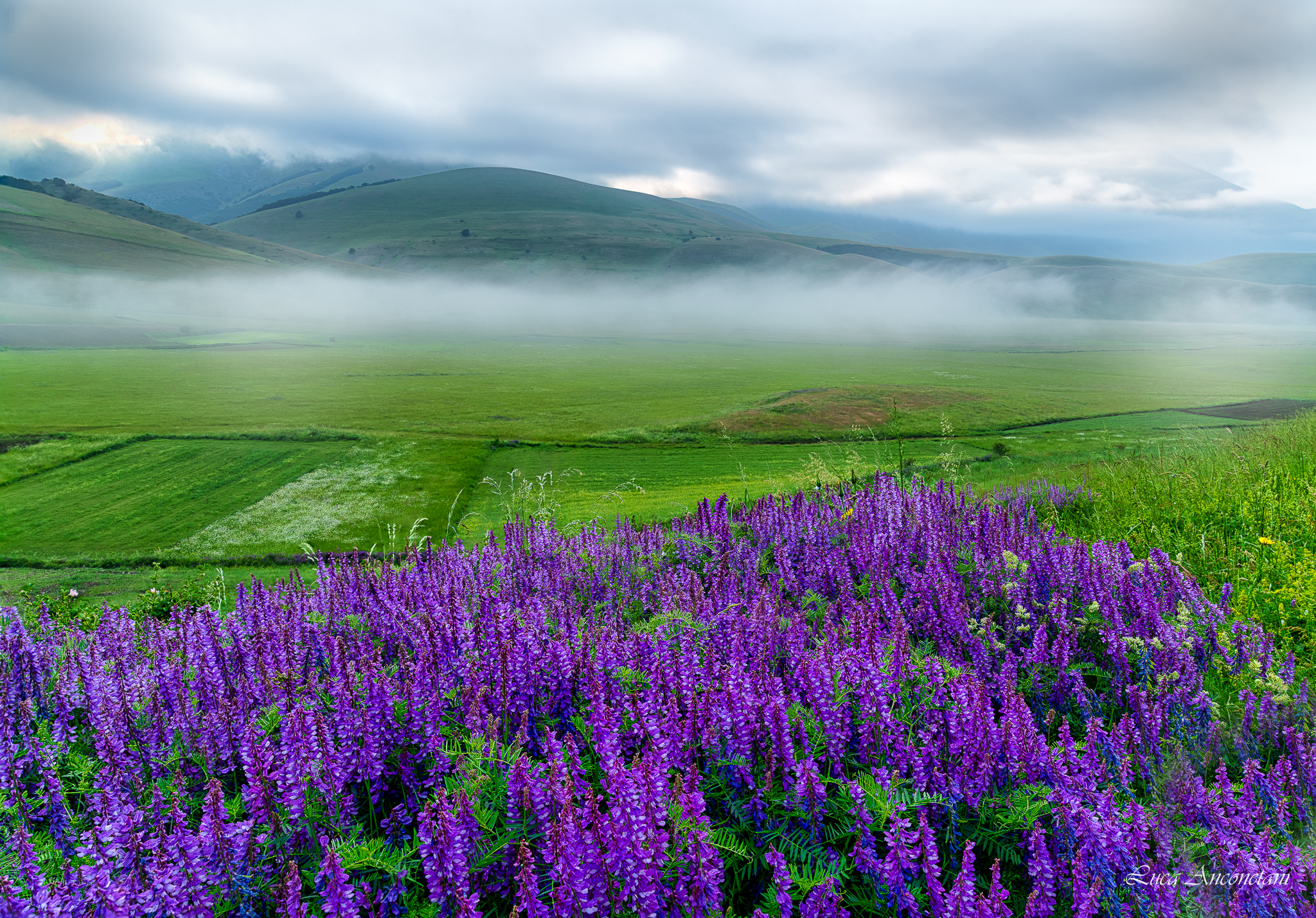 Un salto a Castelluccio