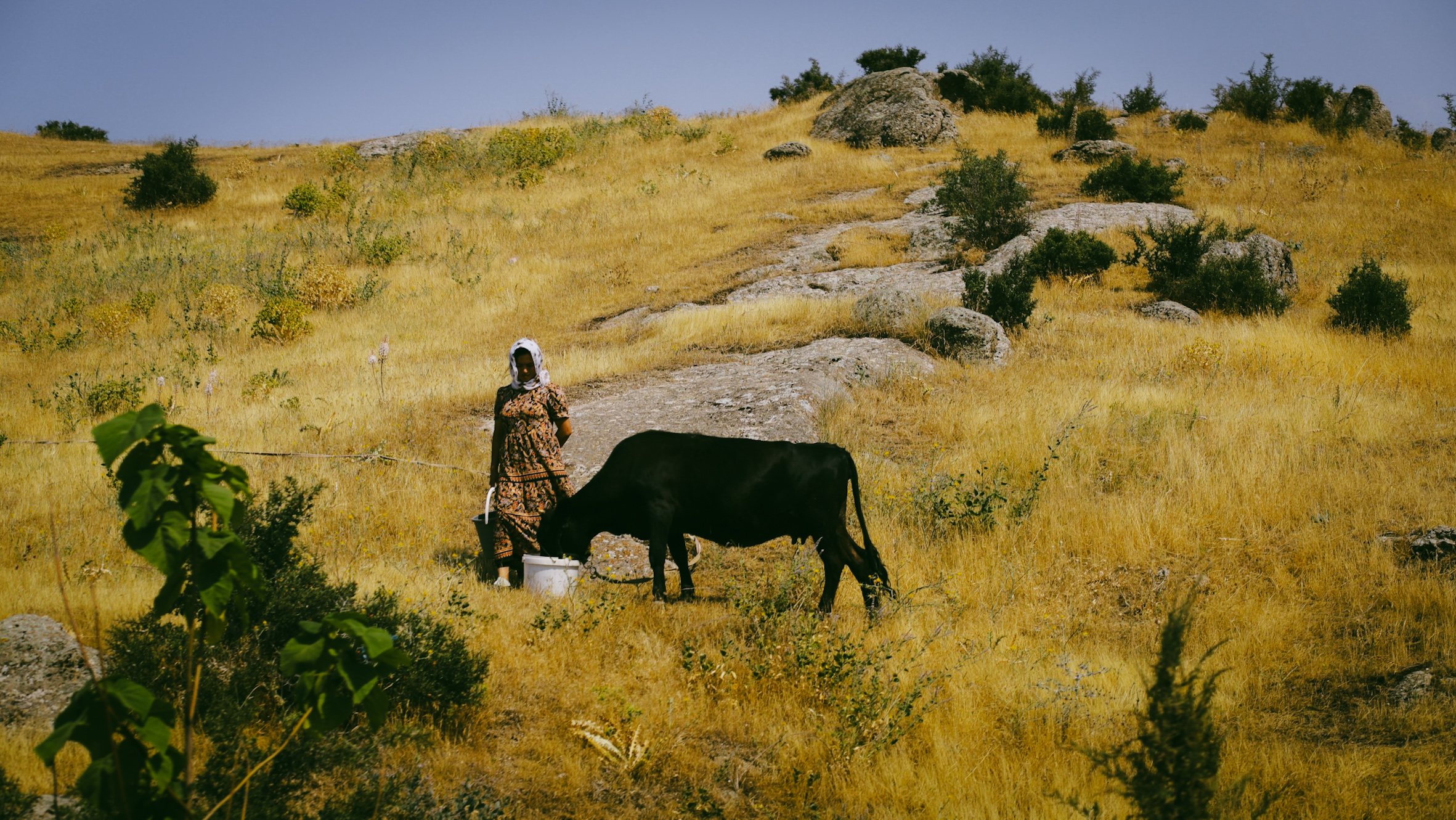 In the mountains beyond Samarkand