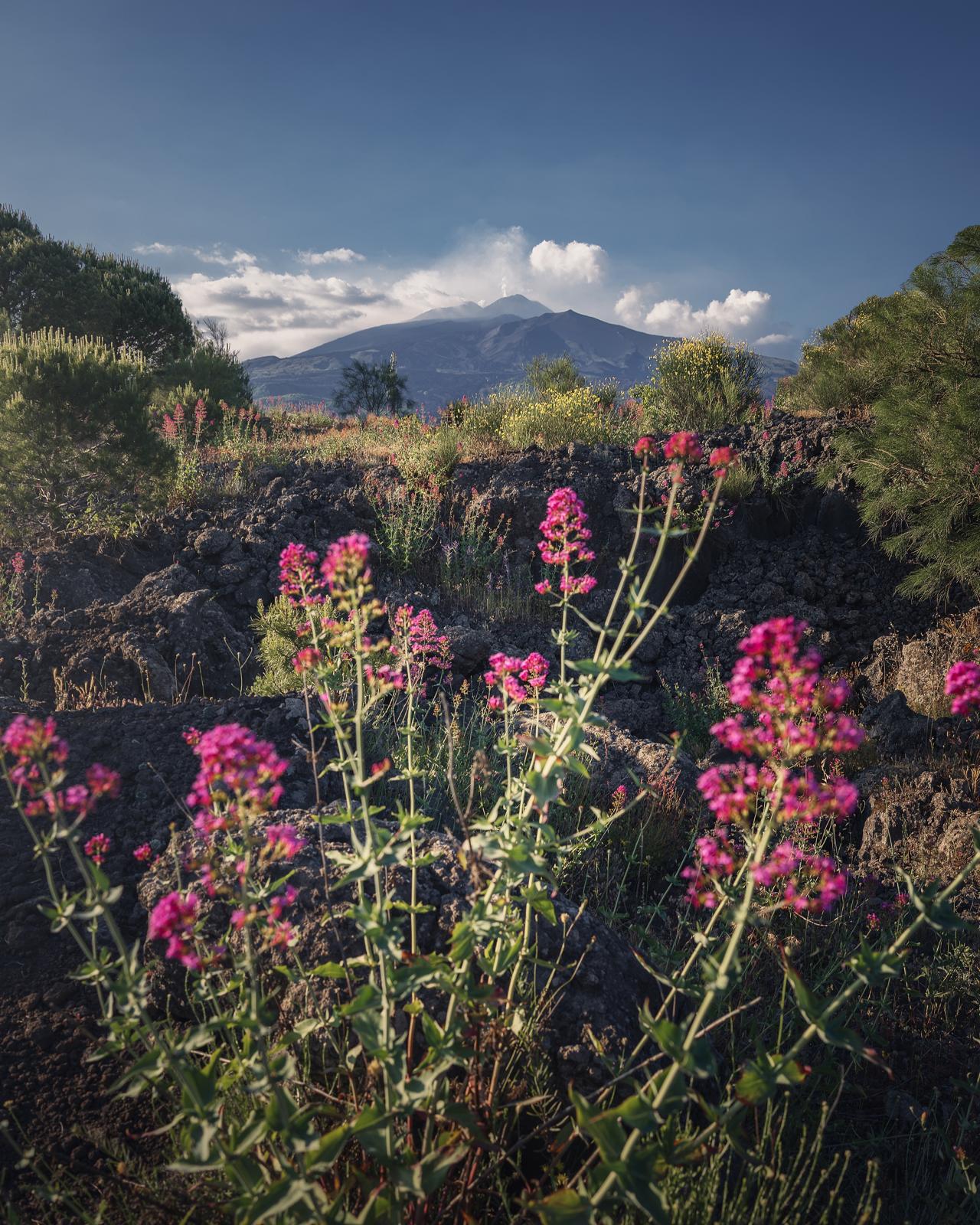 Etna