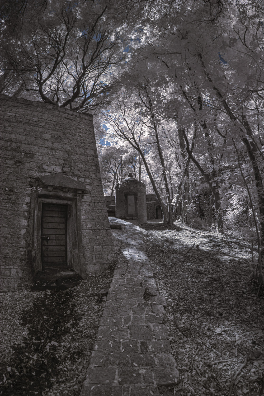 Acquedotto di Colognole