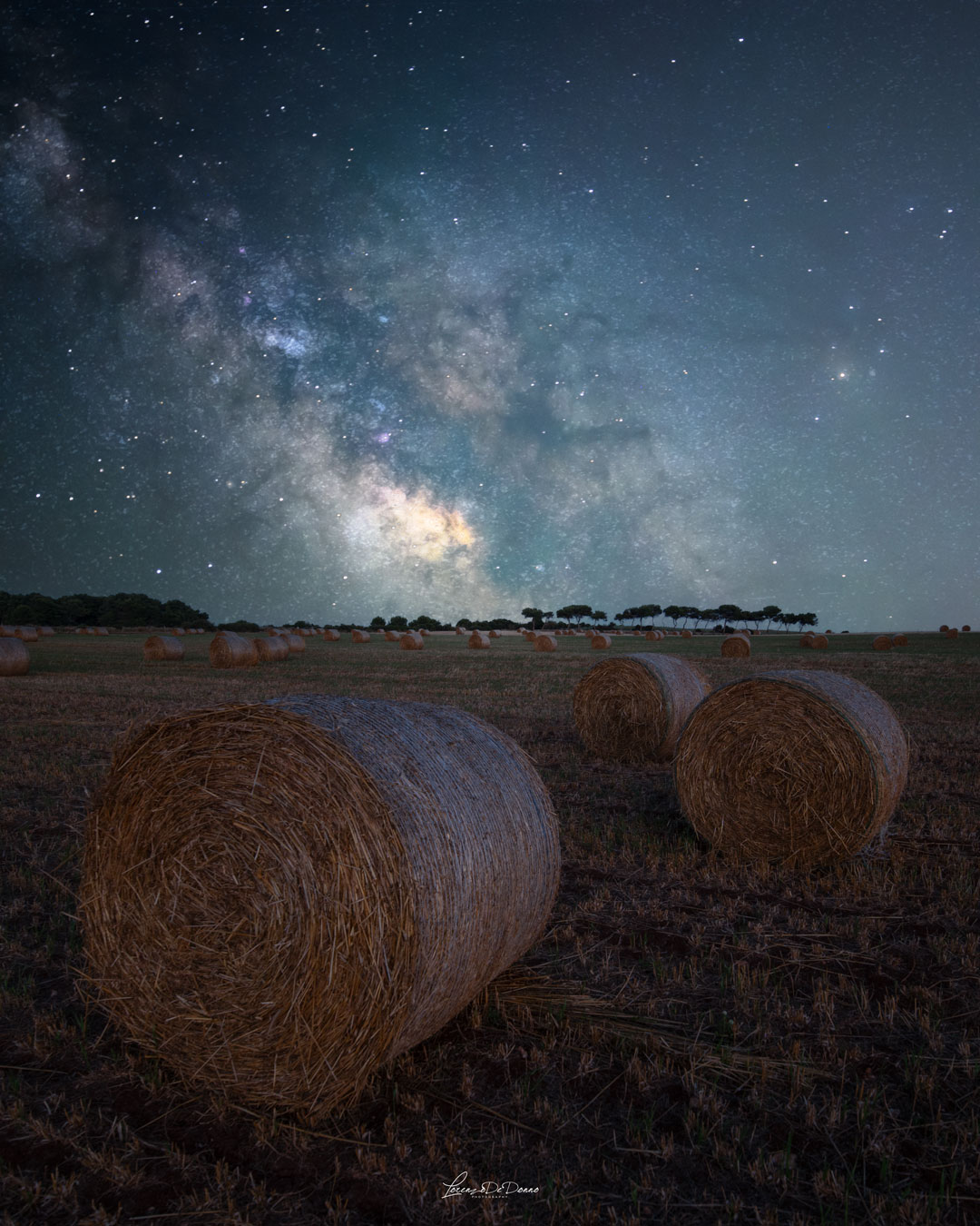 Hay nights