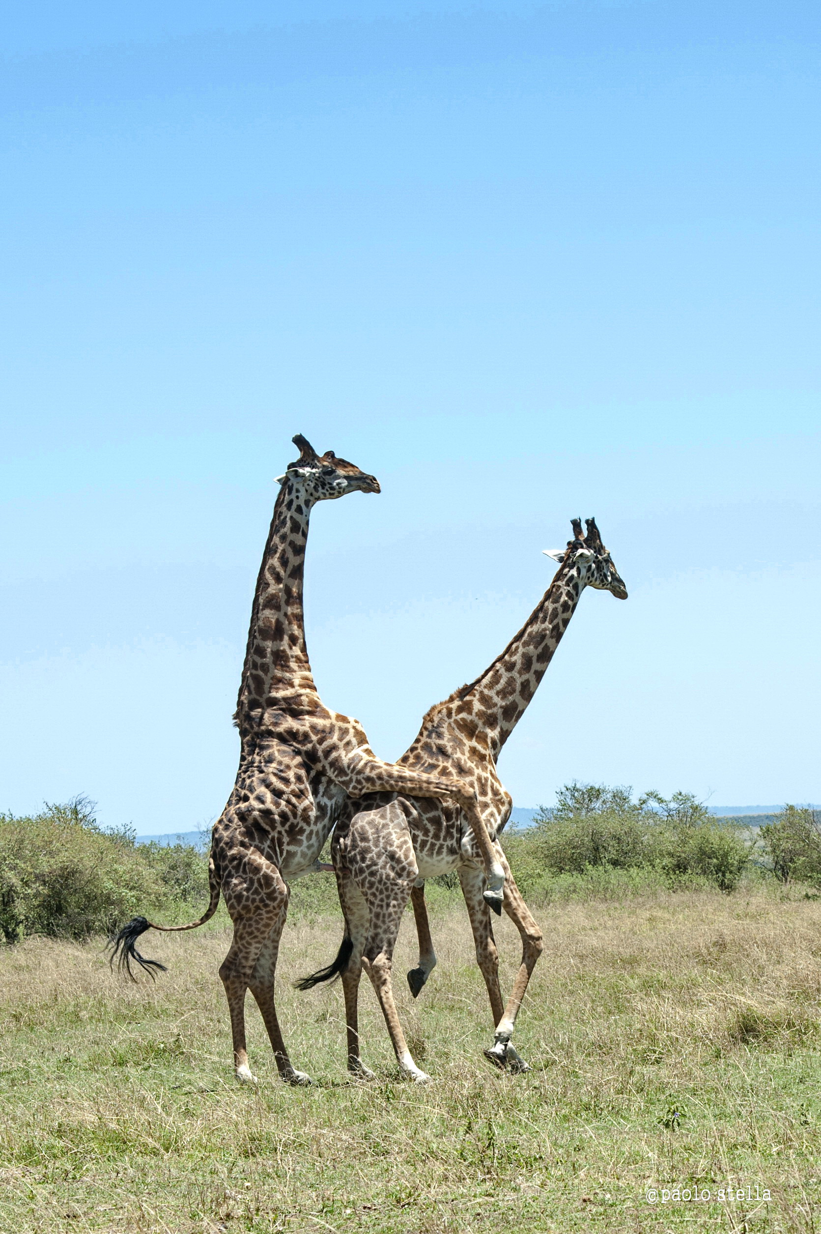 between boys toys ..