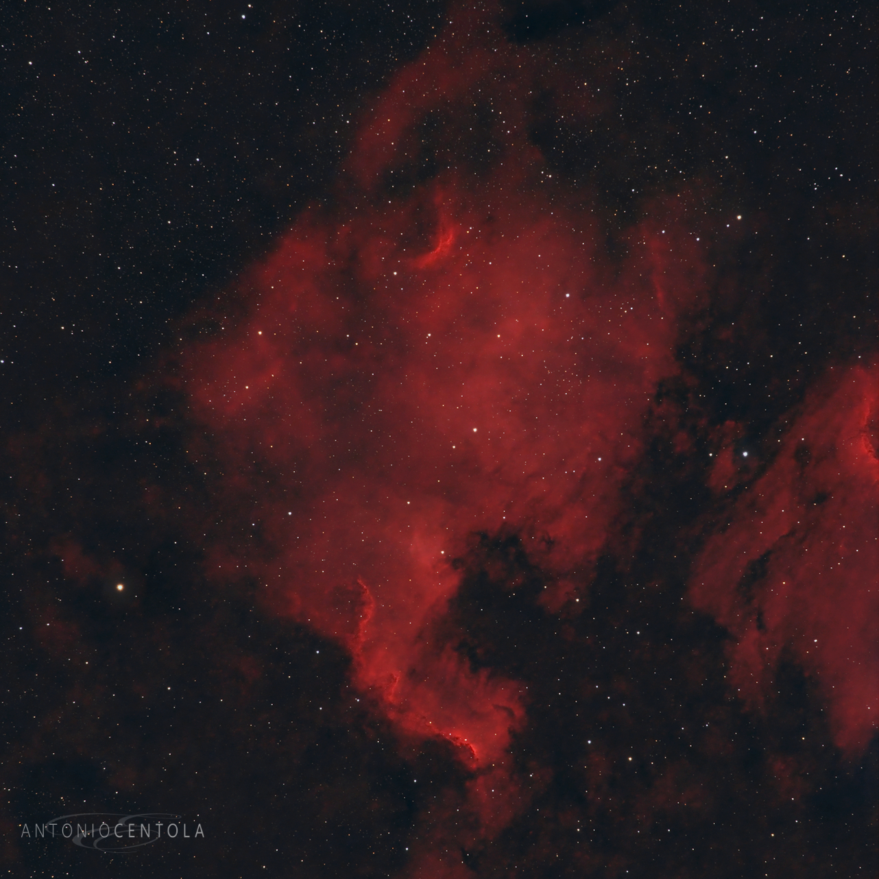 Nebulosa Nord America NGC7000