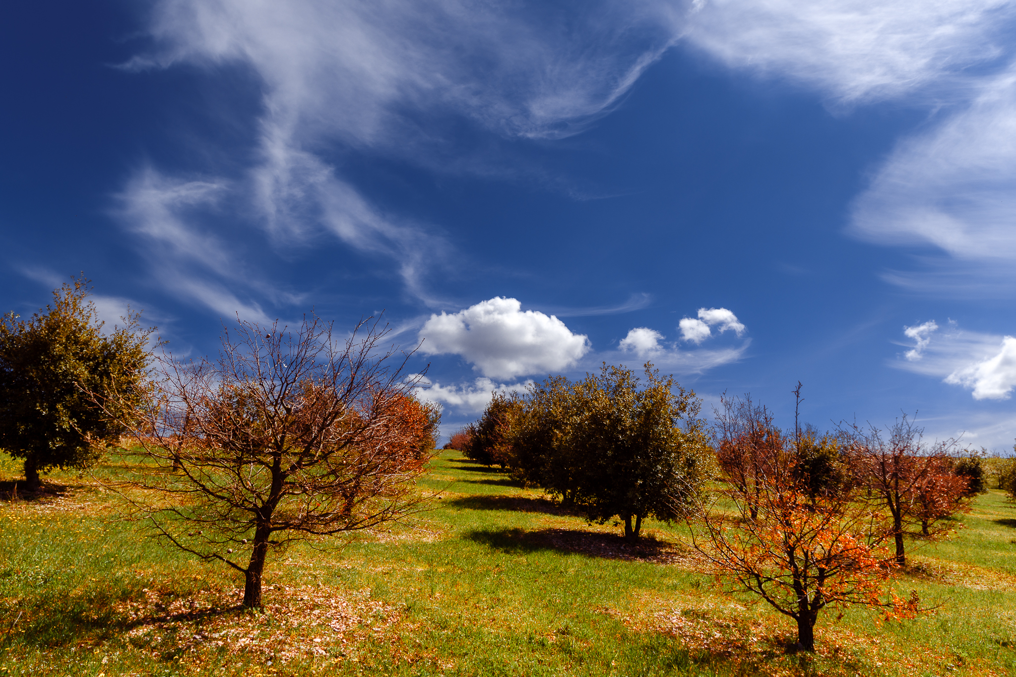 Umbria
