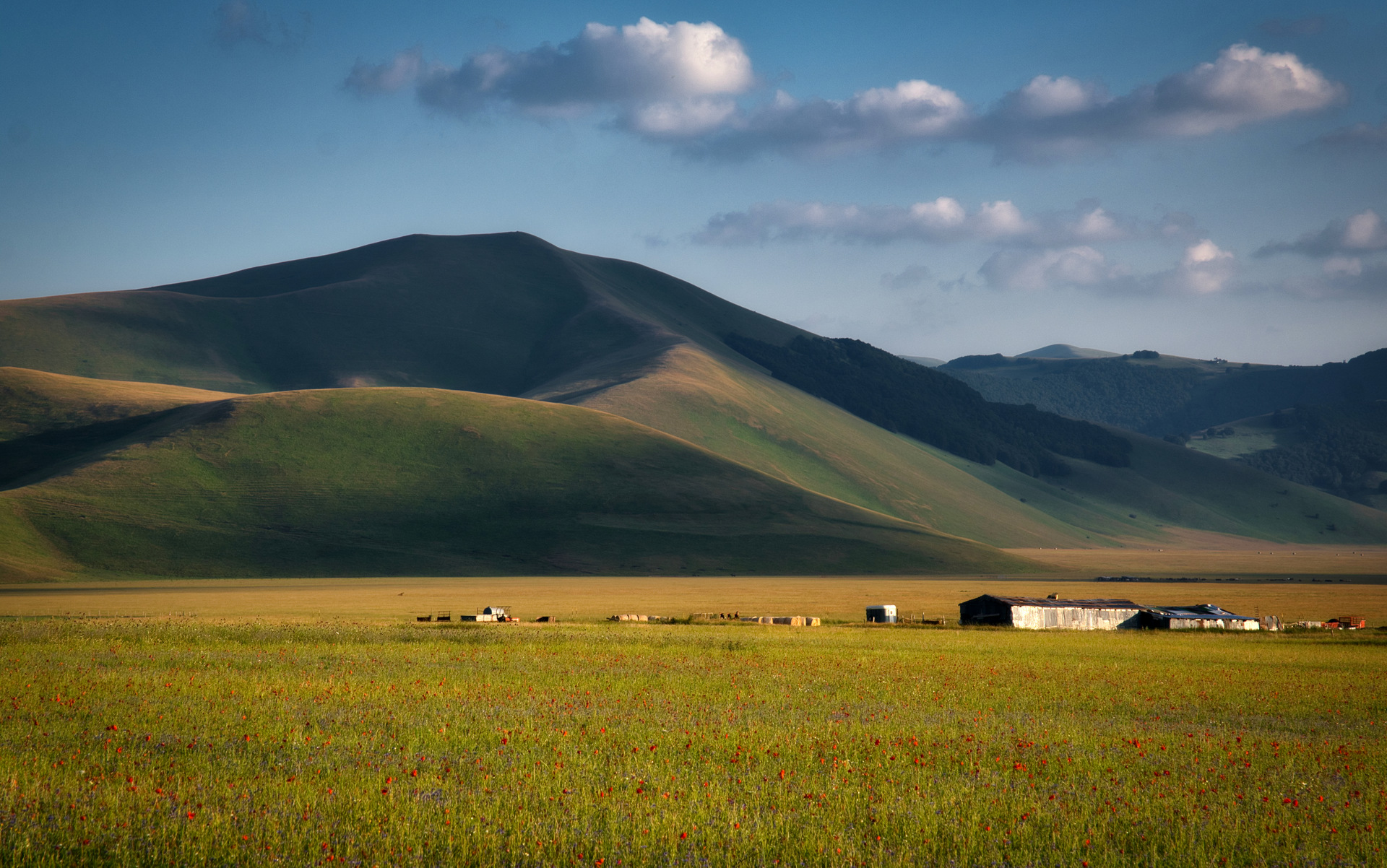 Sibillini - Pian Grande - Castelluccio di Norcia
