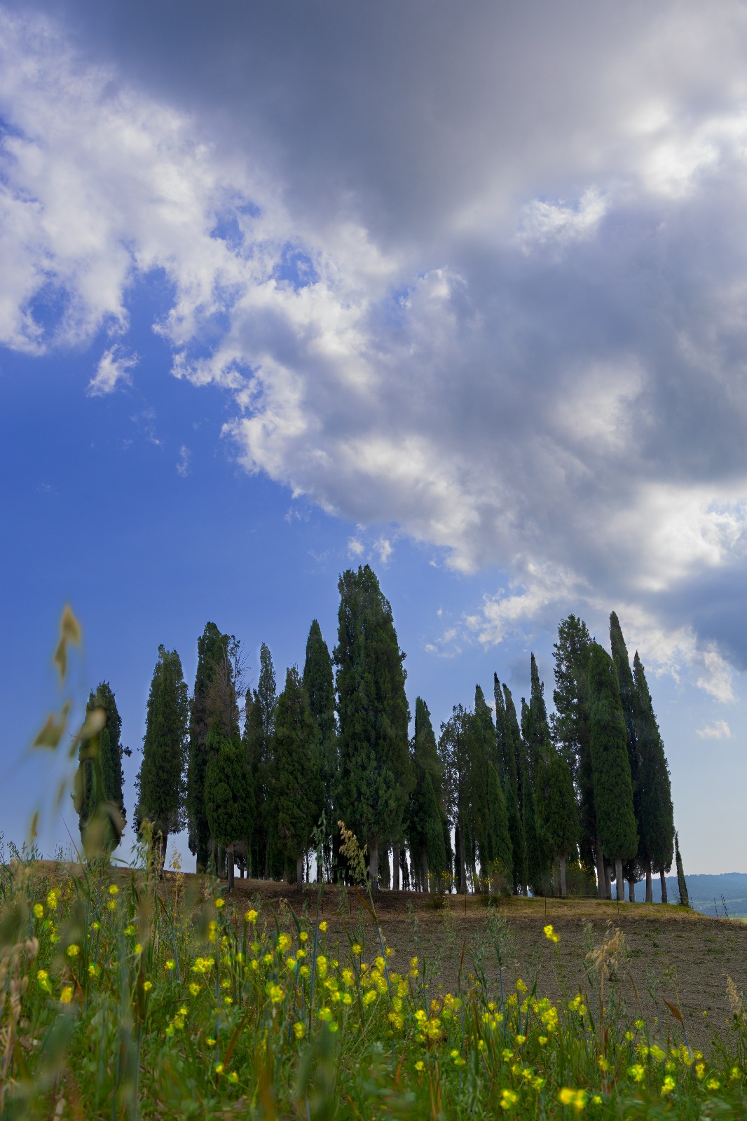 San Quirico d'Orcia