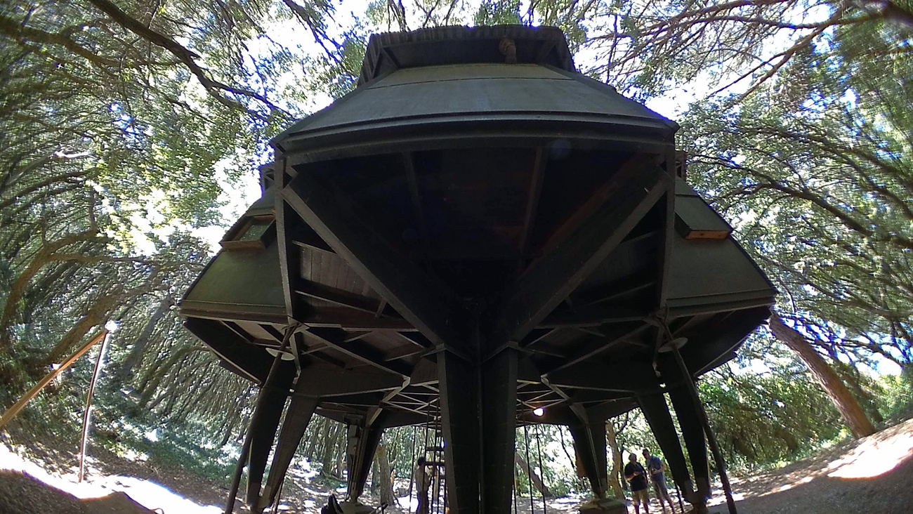 The spaceship