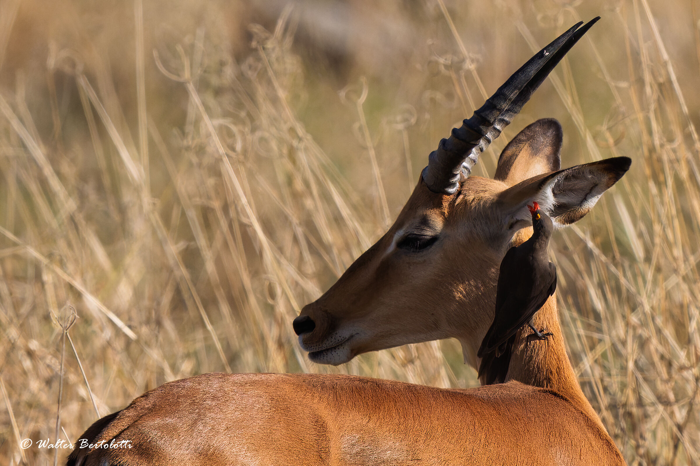 Posso farti una confidenza?