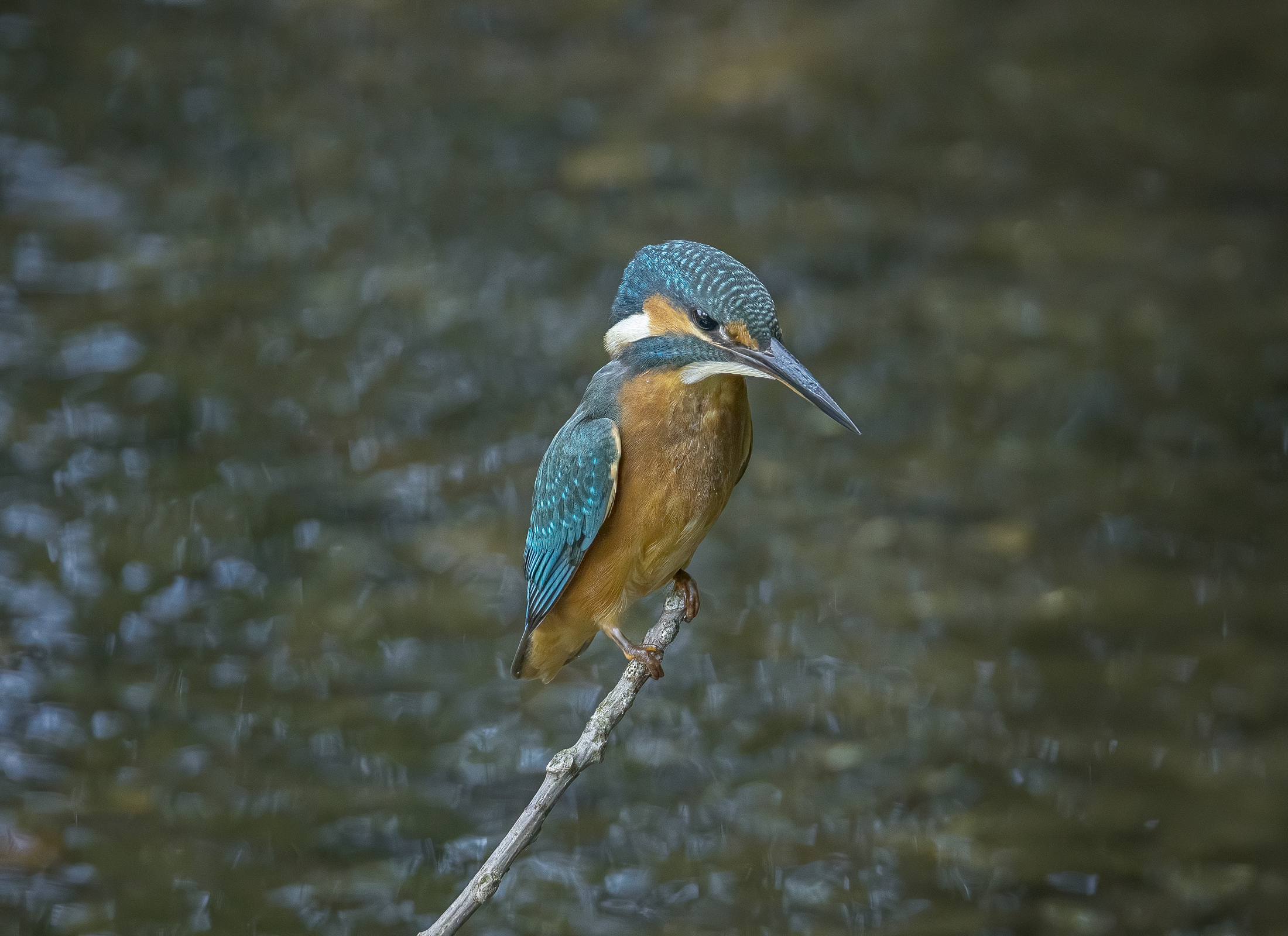 Ready to fish