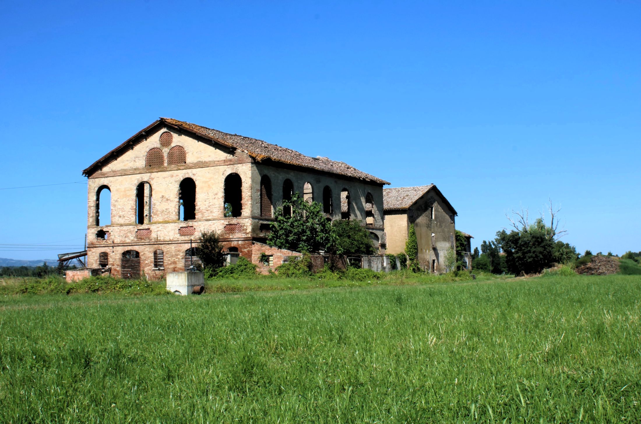 Abbandonata nell'erba