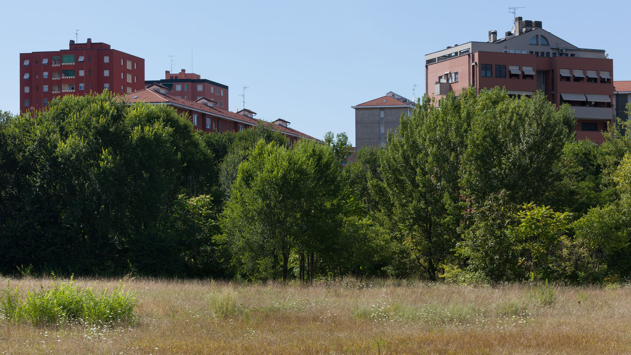 Gallaratese District - 19