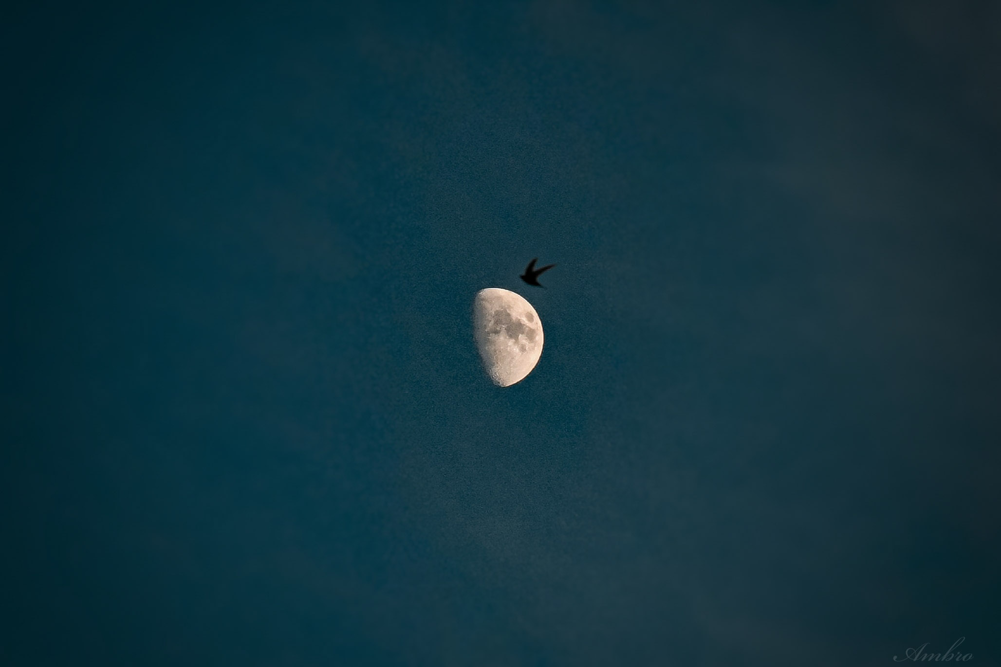 Luna