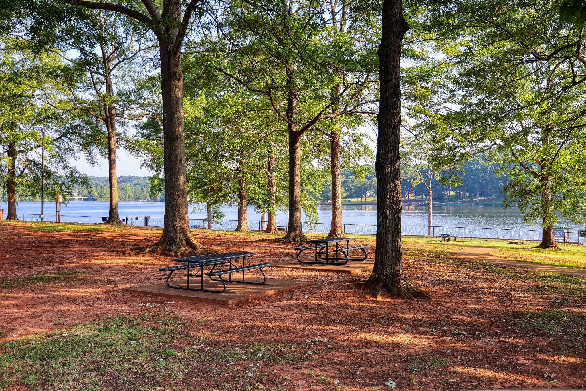 Bowen Lake Park il 5 luglio 2025 Canon R5 e RF 24-105