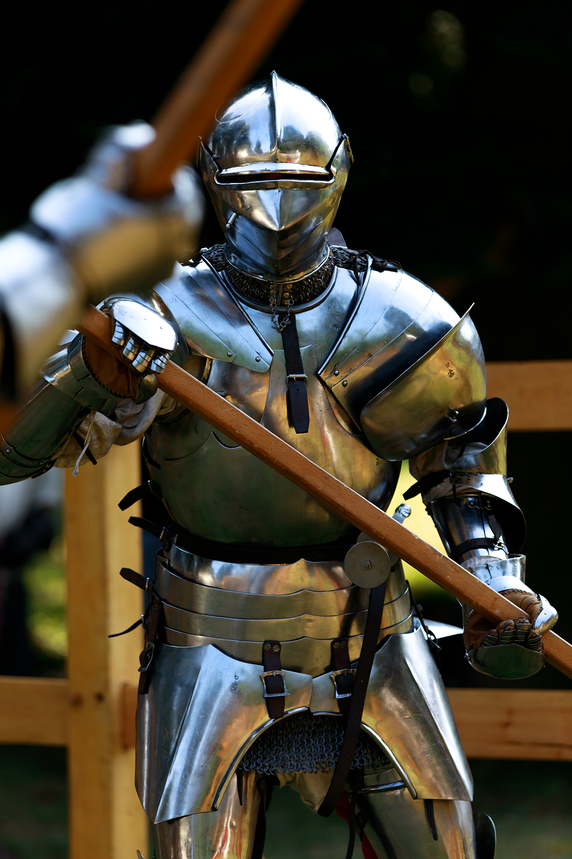 Knight in Armor