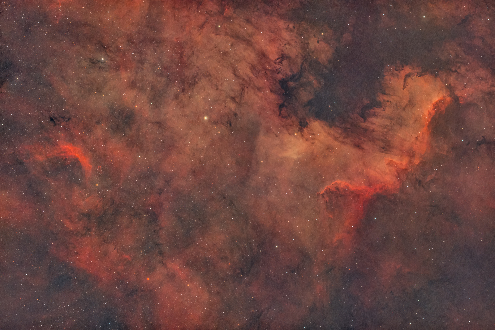 Nebulosa Nord America