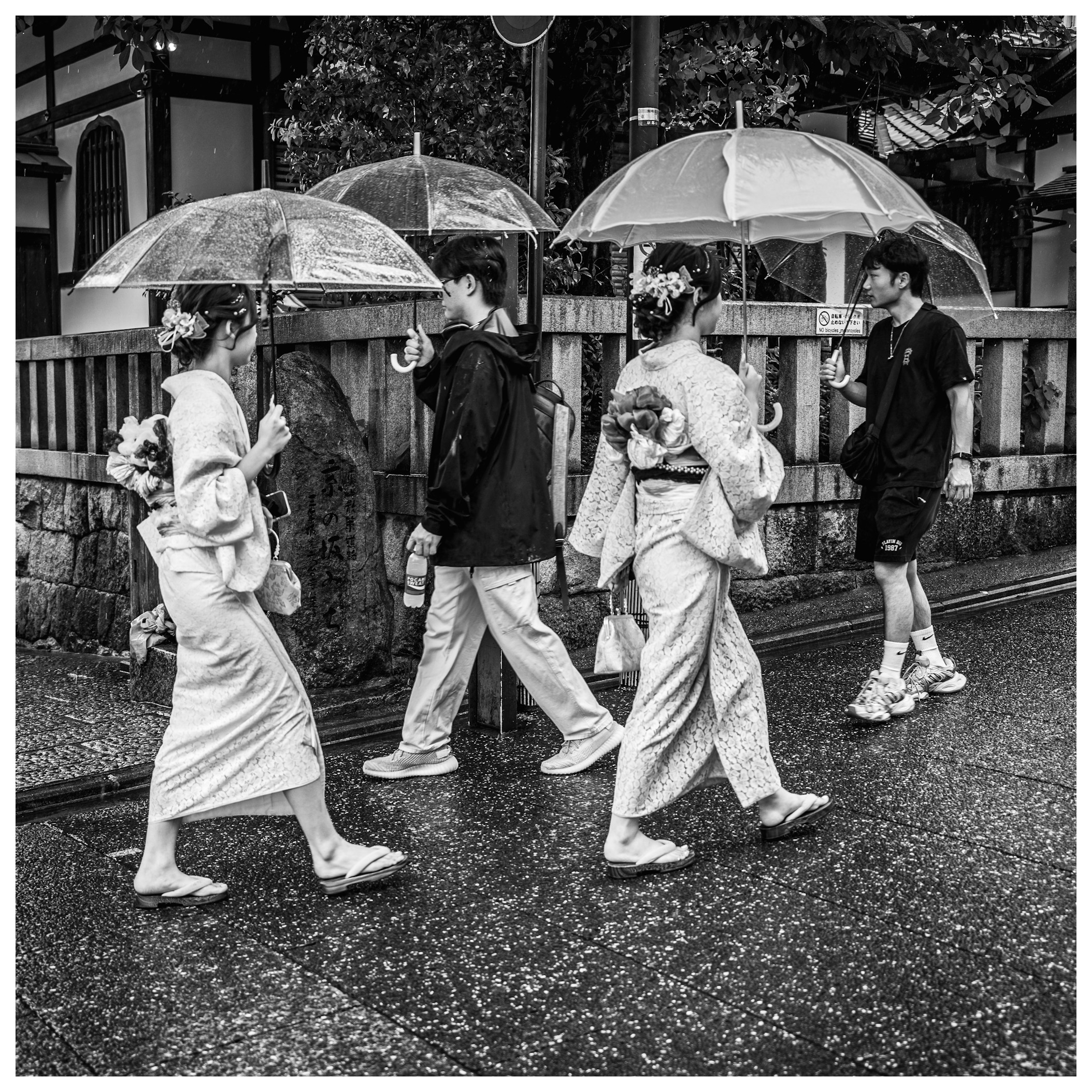 Rain in Rewind - Kyoto