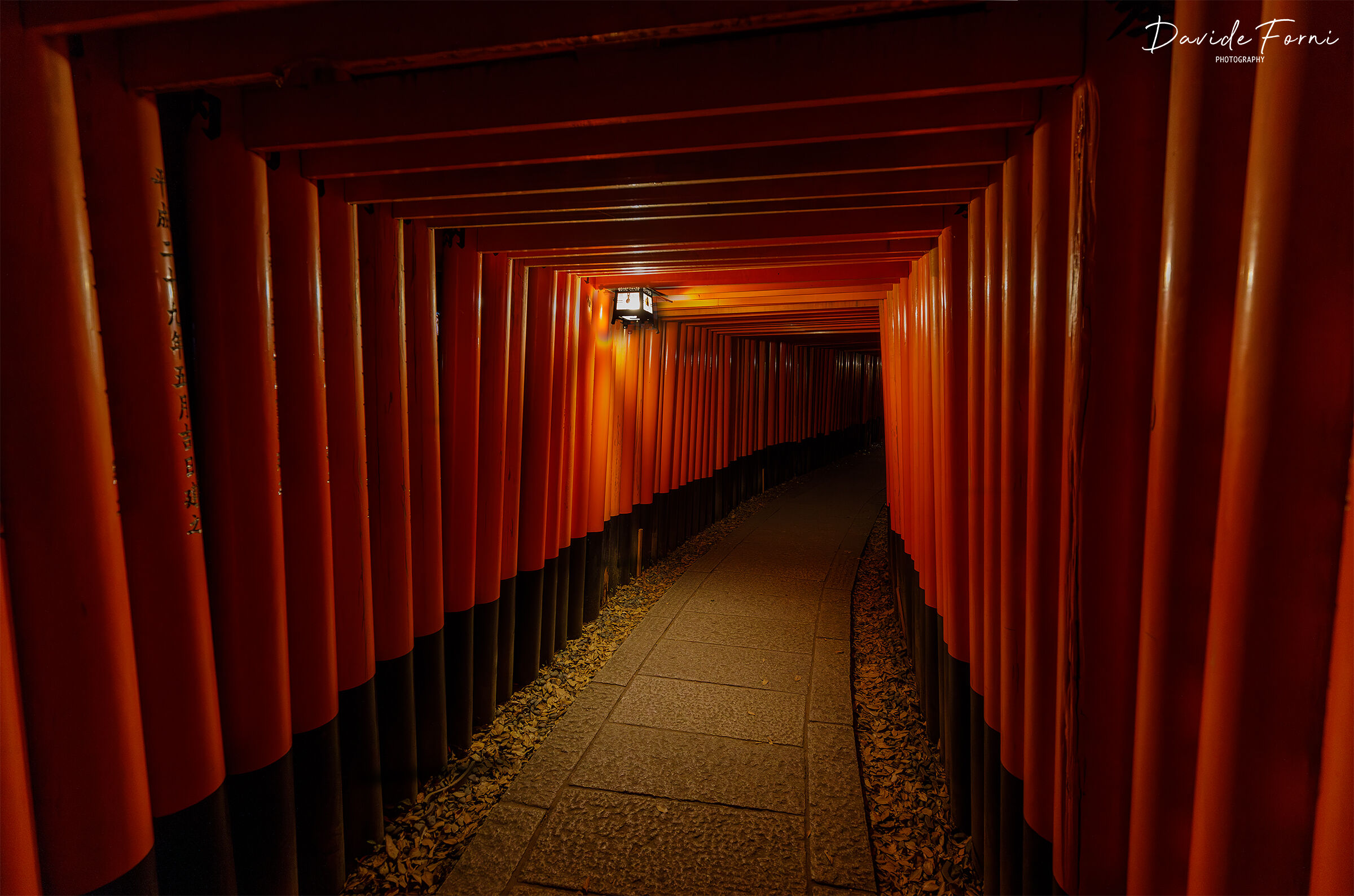 Serata al Santuario di Fushimi Inari-Taisha