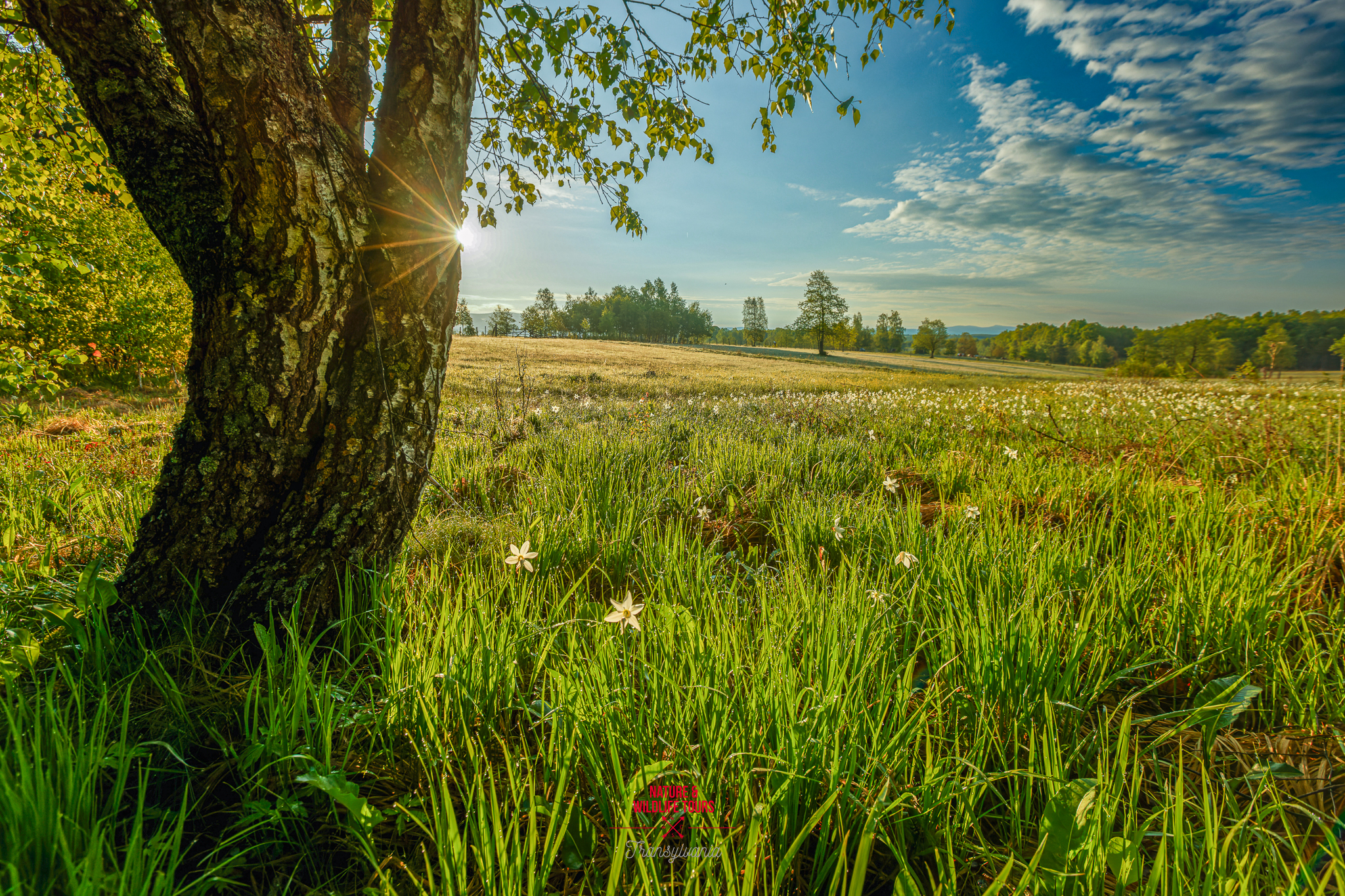 Immortalato per i posteri, non rimosso come fanno la ma