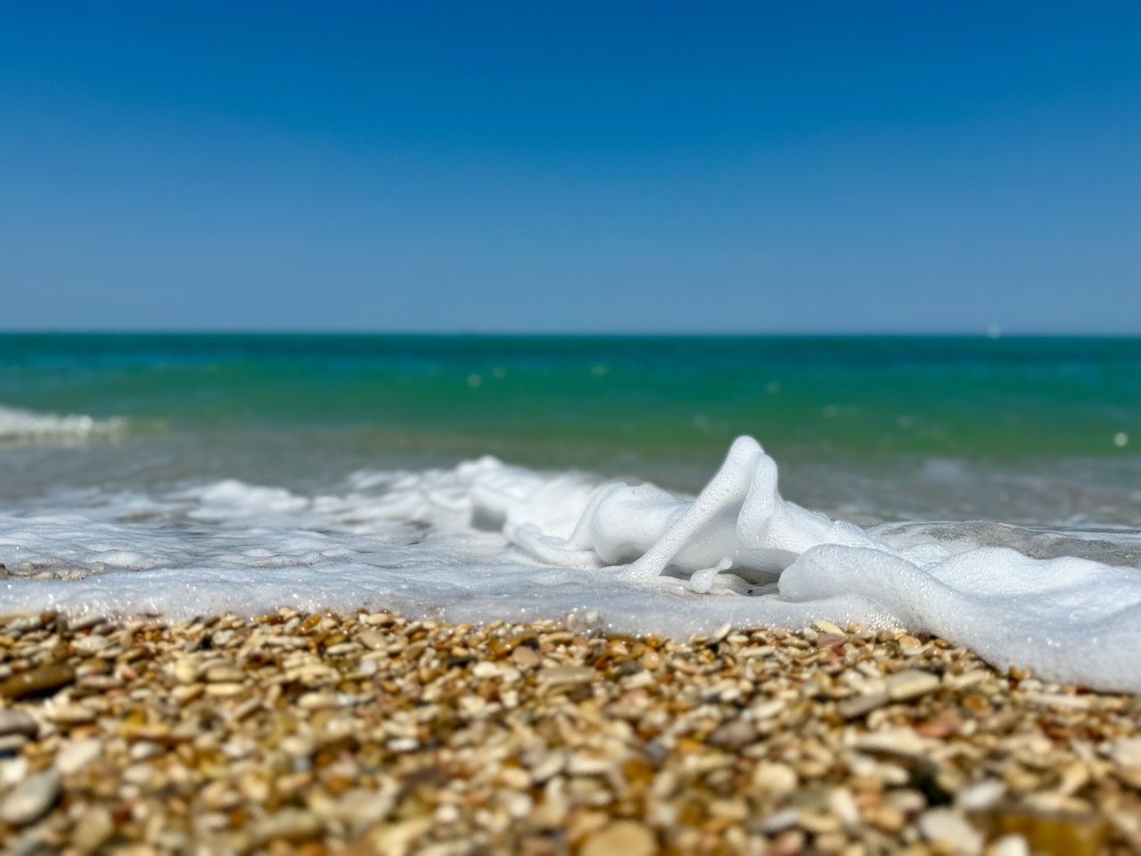 Foam