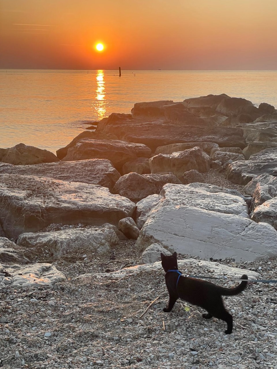 Ares and the dawn