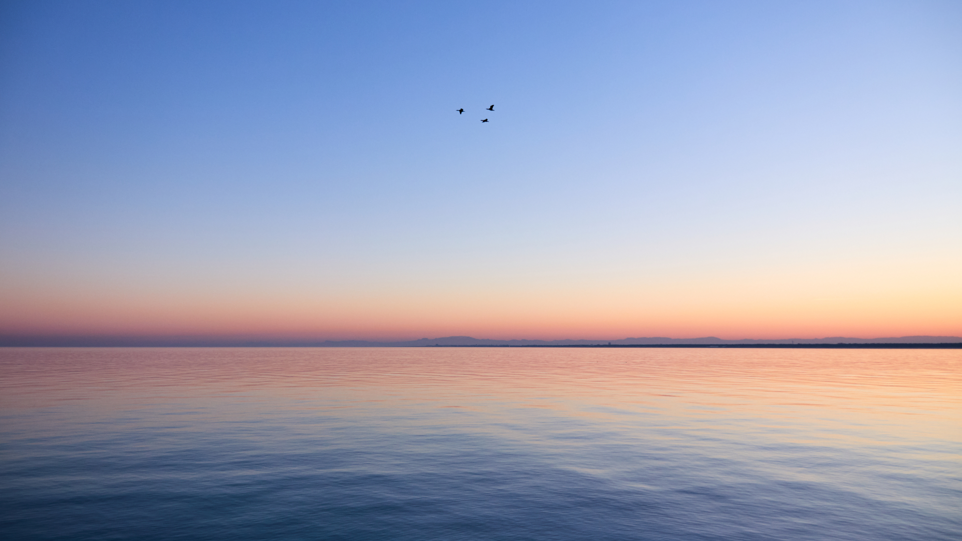 Tramonto sul molo Zaccagnini