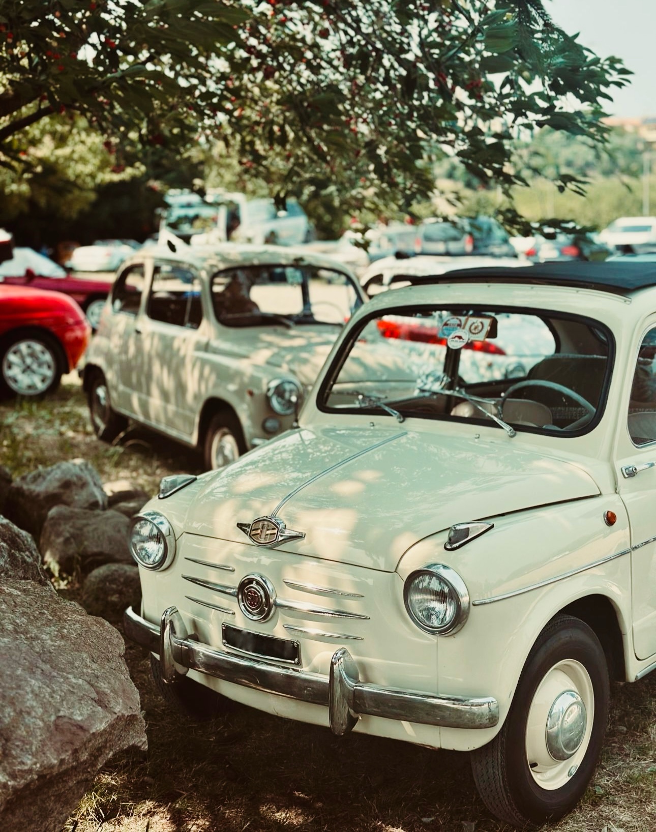 Raduno d'auto d'epoca