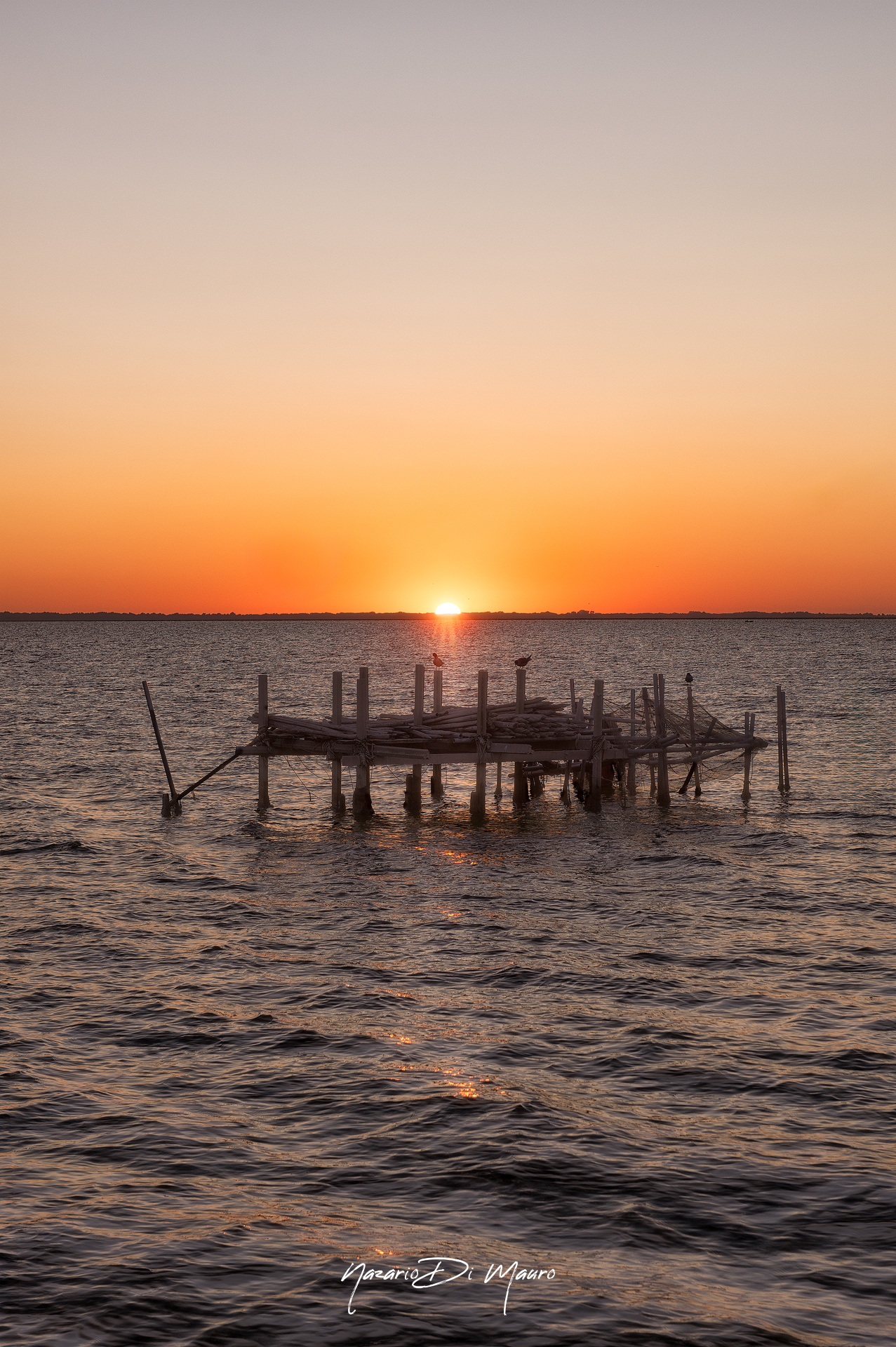 Lake Lesina - FG. Apulia! What else?!