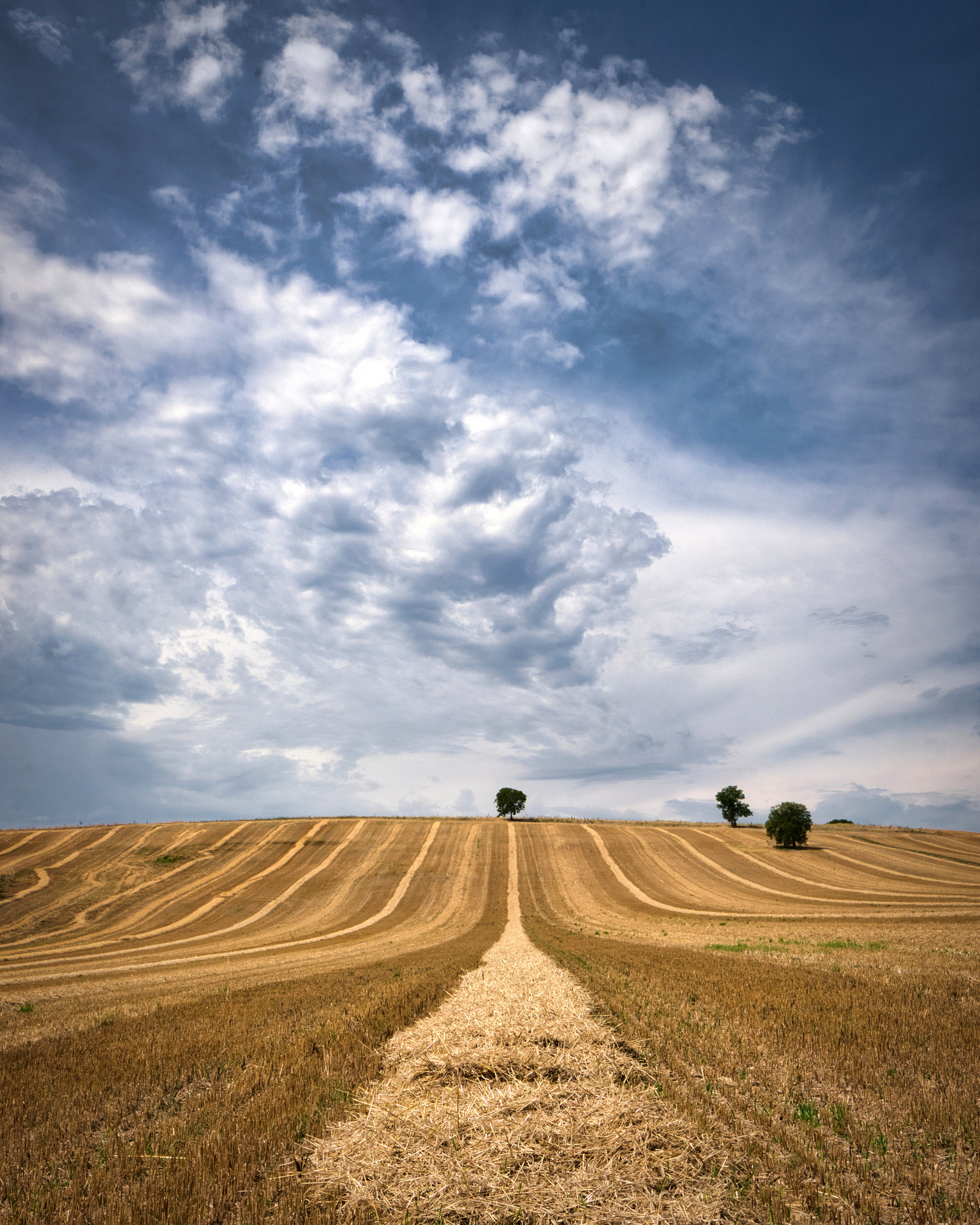 Campagna marchigiana - Treia (MC)