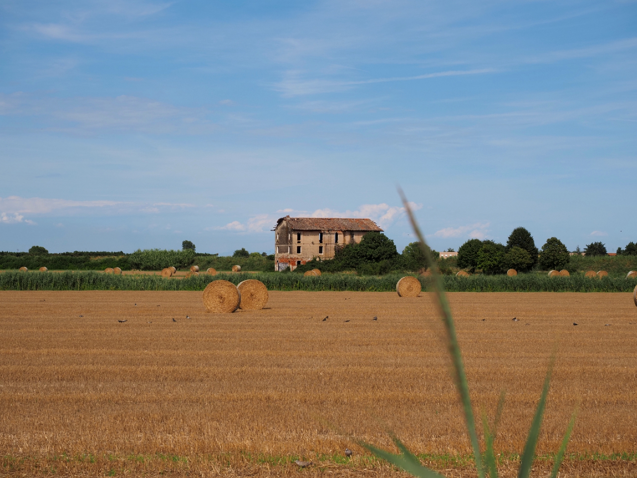 In campagna