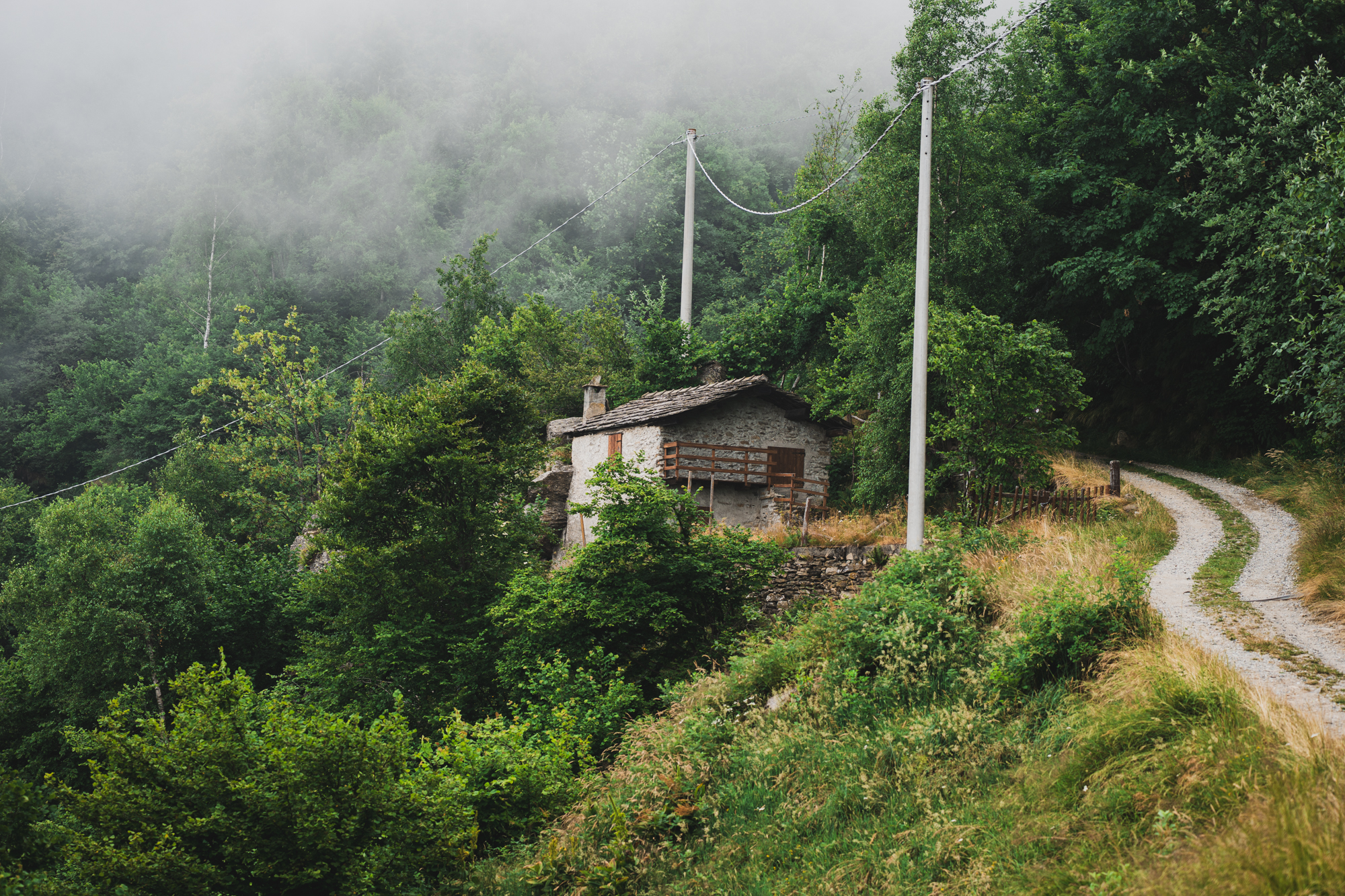 Untitled Photo