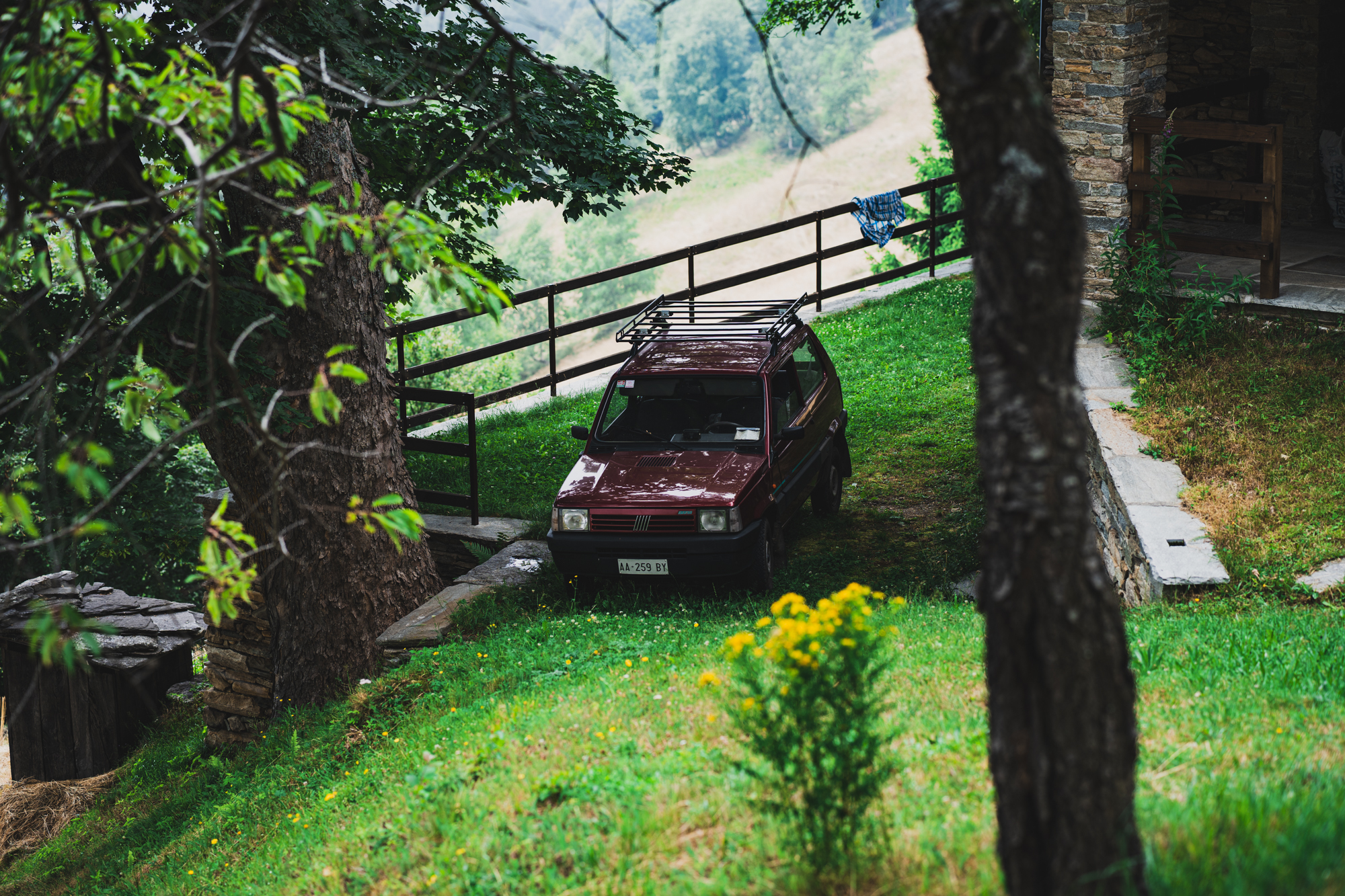 Untitled Photo