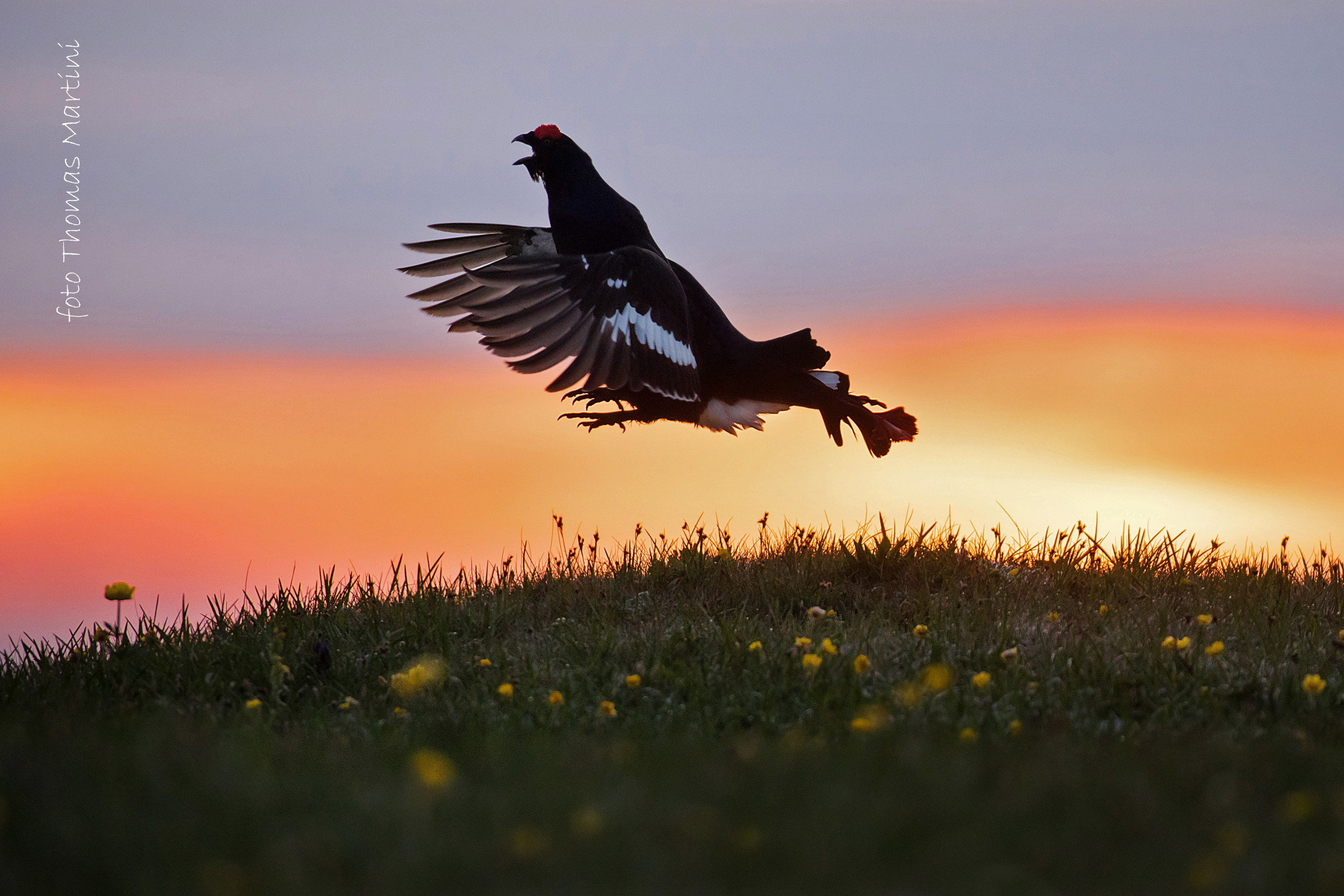 Ricordi di primavera