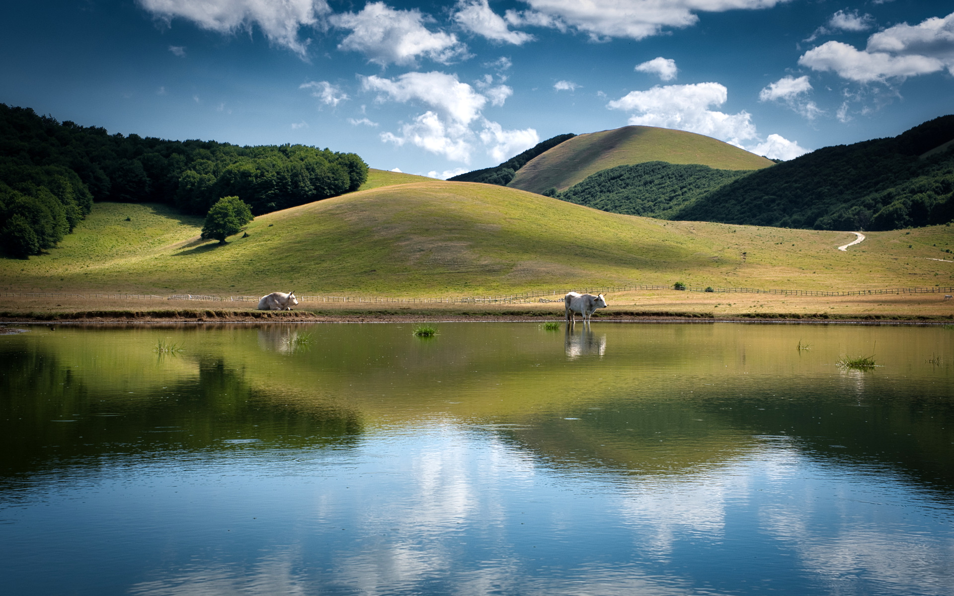 Sibillini - Pantani di Accumoli (RI)