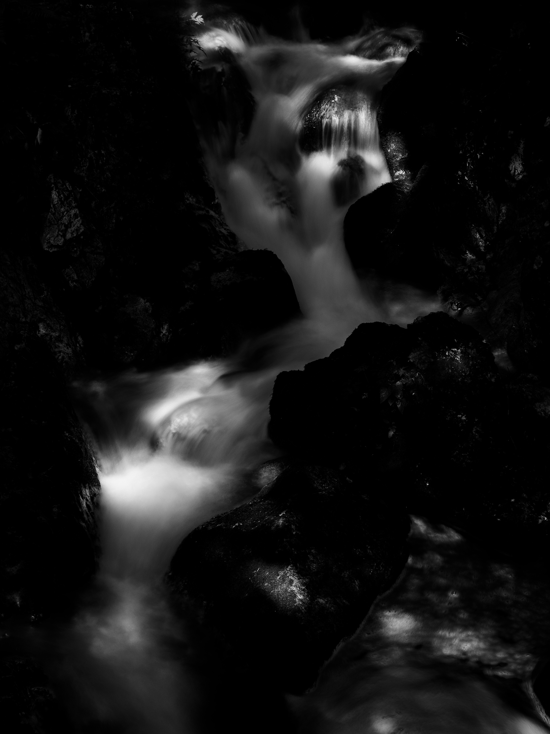 Linee del fiume