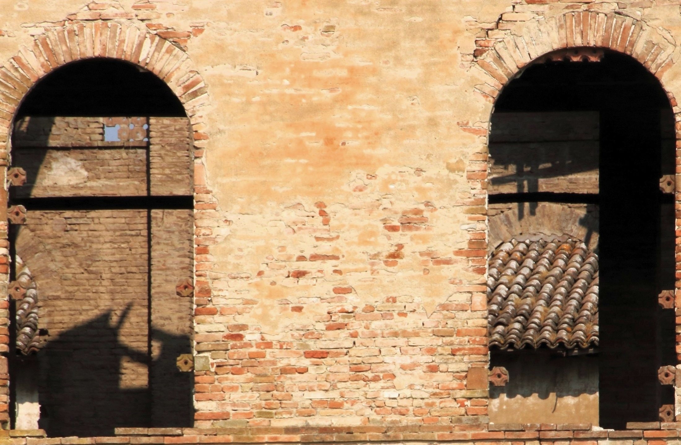 Finestre sull'abbandono