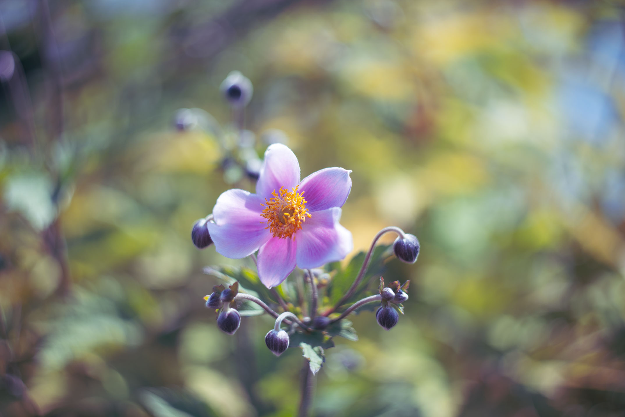 Untitled Photo