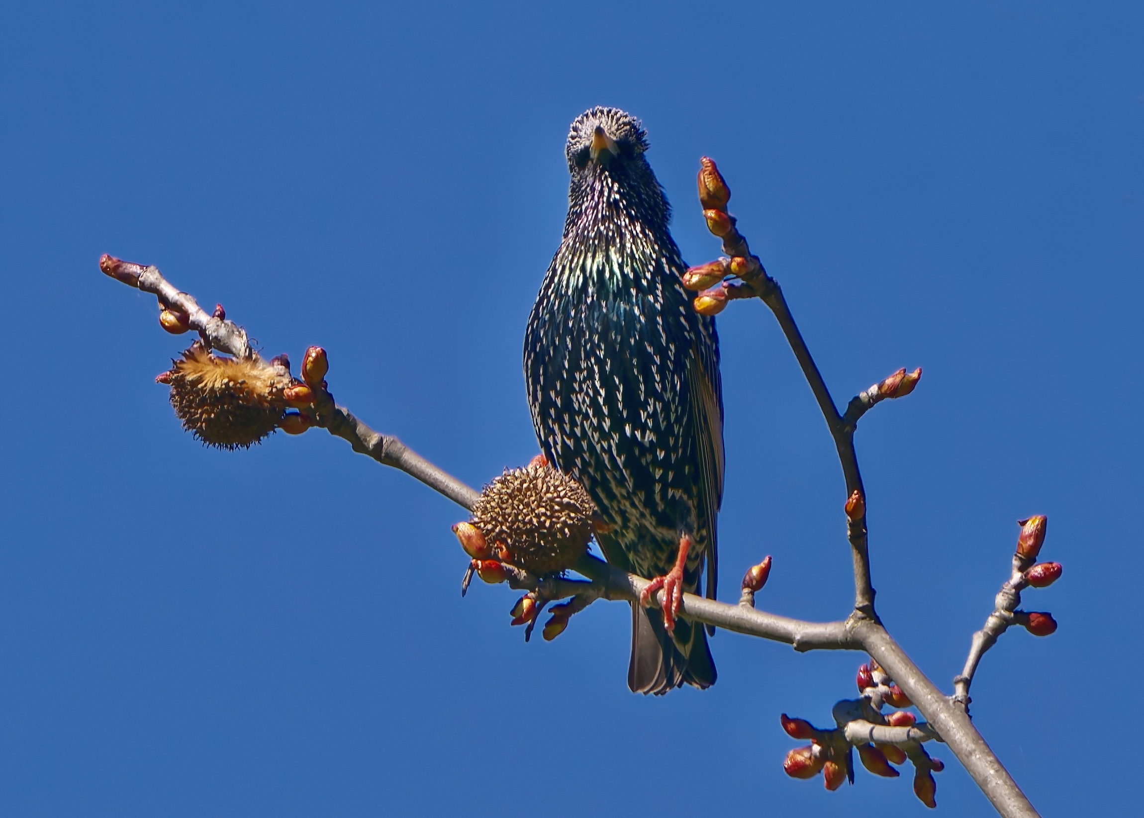 Sono stato dal parrucchiere
