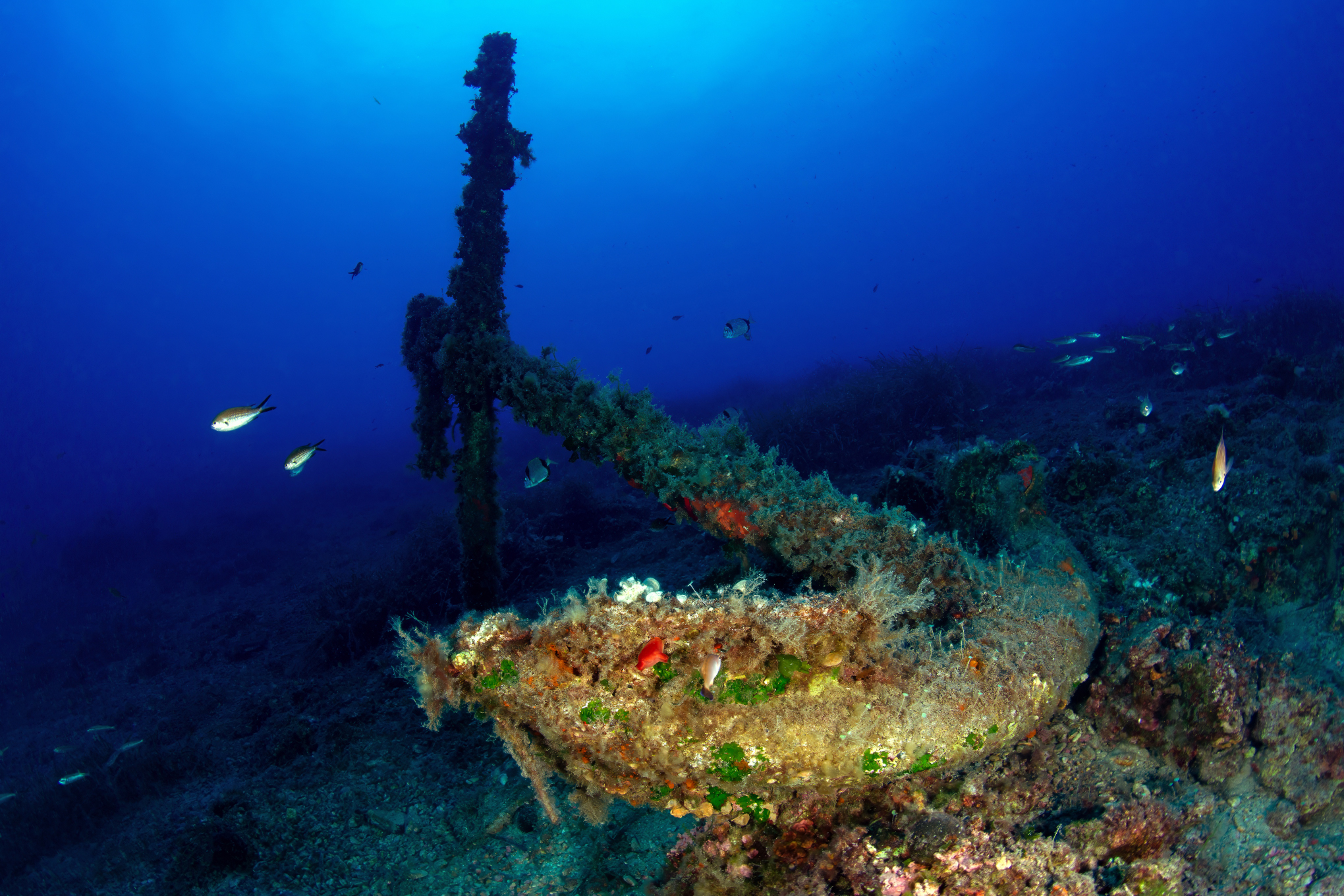 Scoglietto - Portoferraio