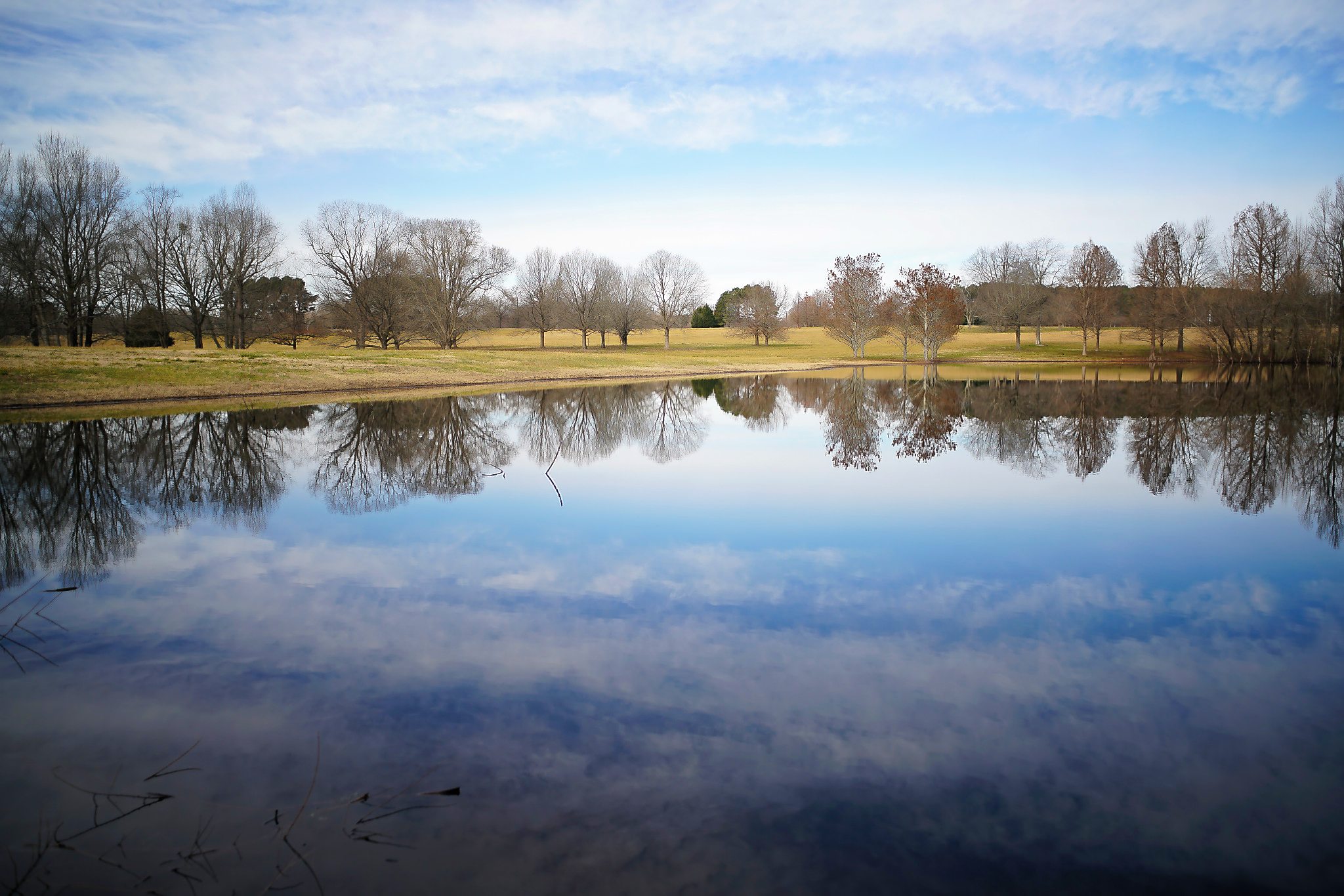 Milliken Park Sony A7R2 and Pentax K 28mm F3.5