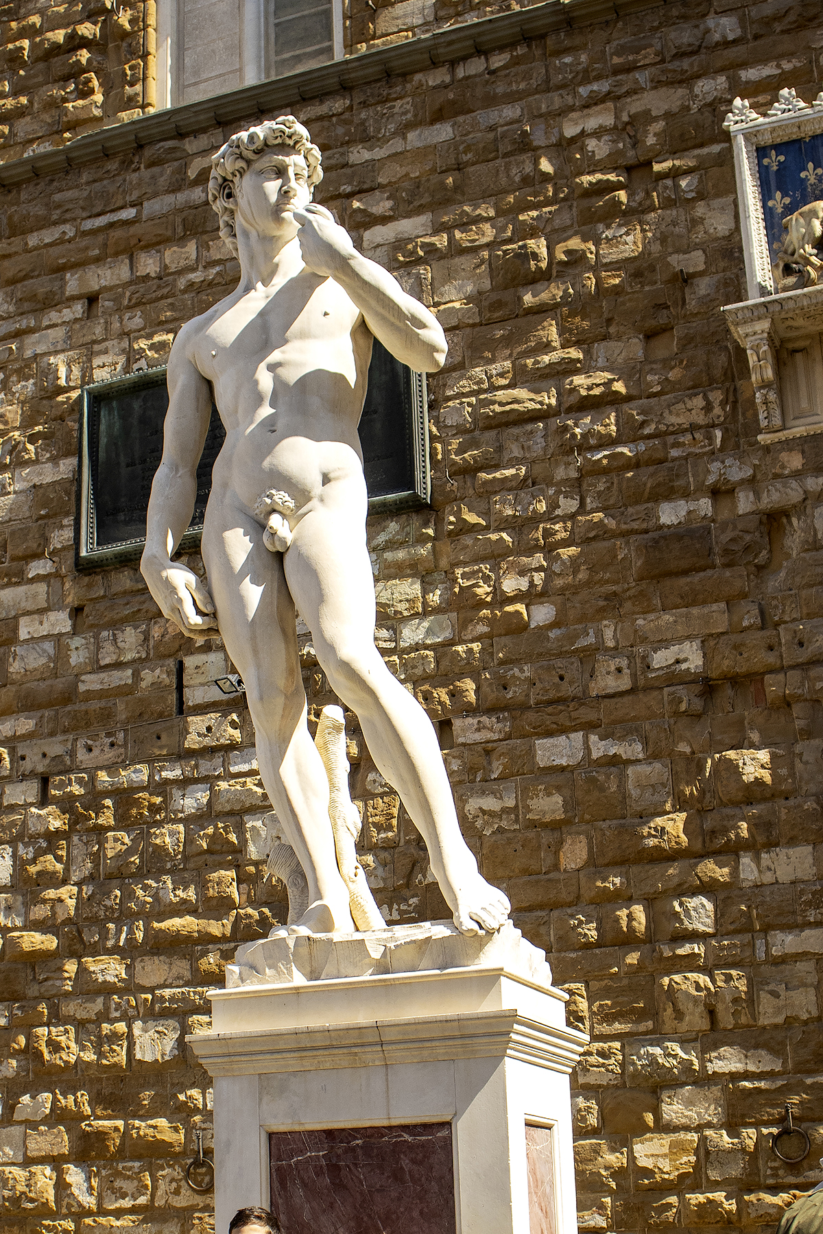 The David
