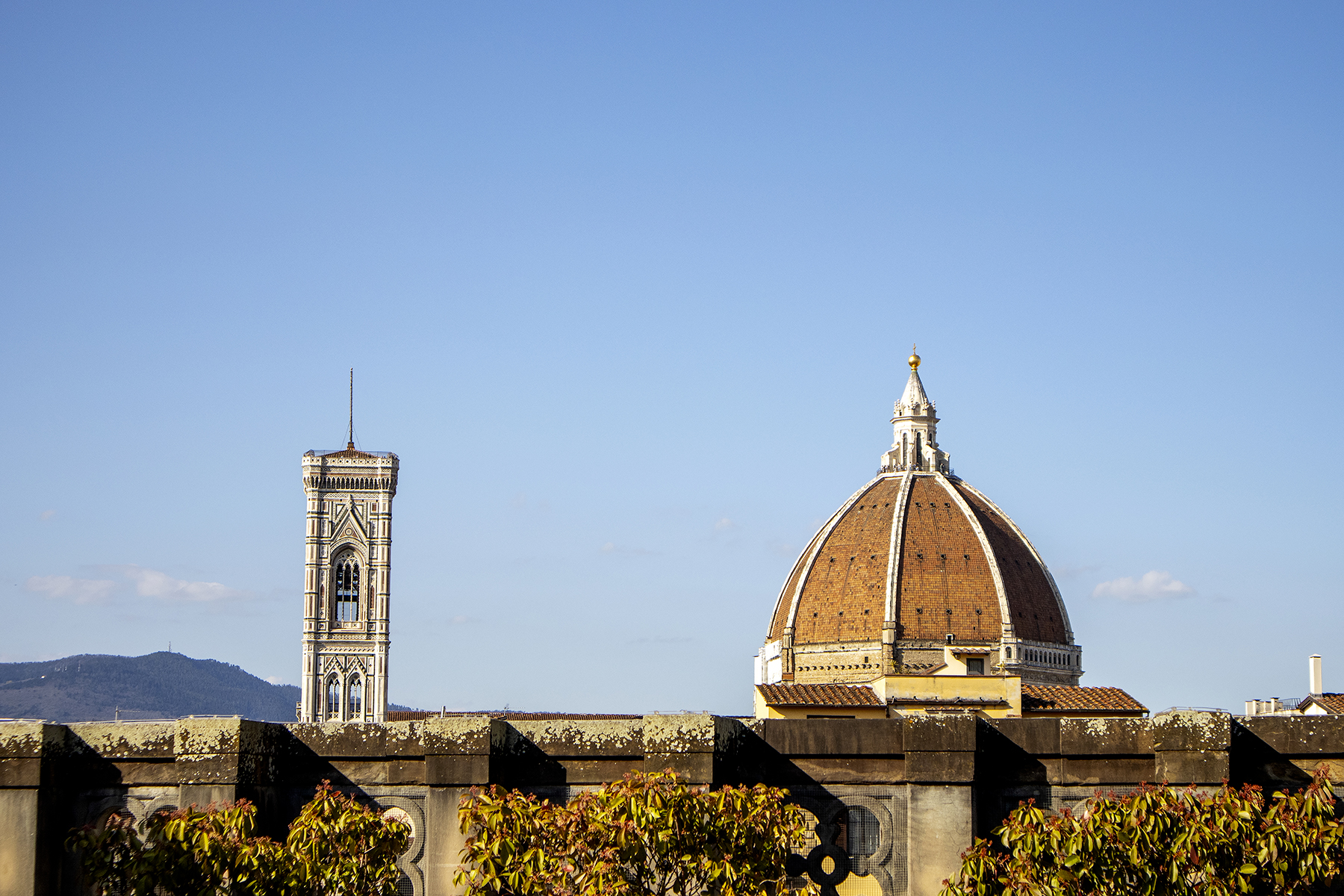 Cathedral of Santa Maria del Fiore