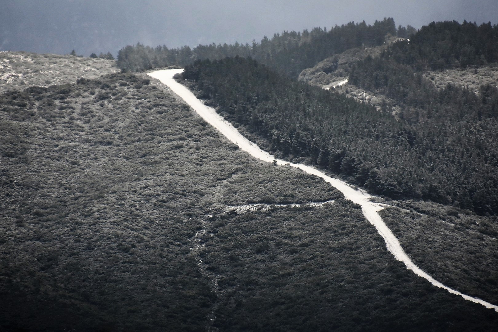 Orgosolo Nuoro Fire Lines